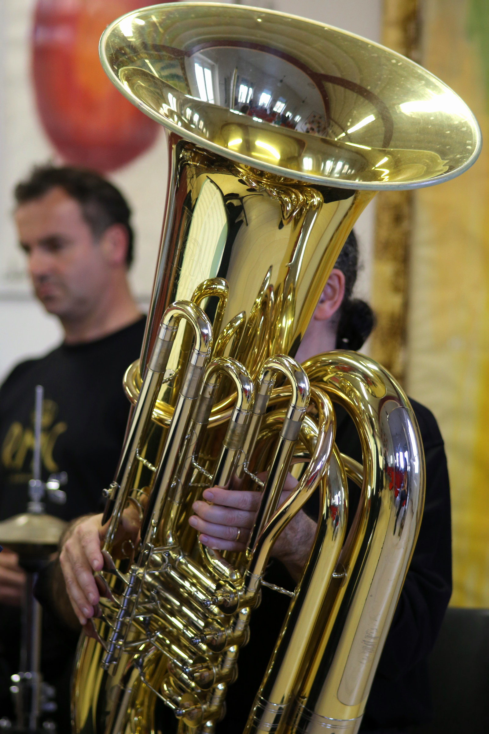bassotuba