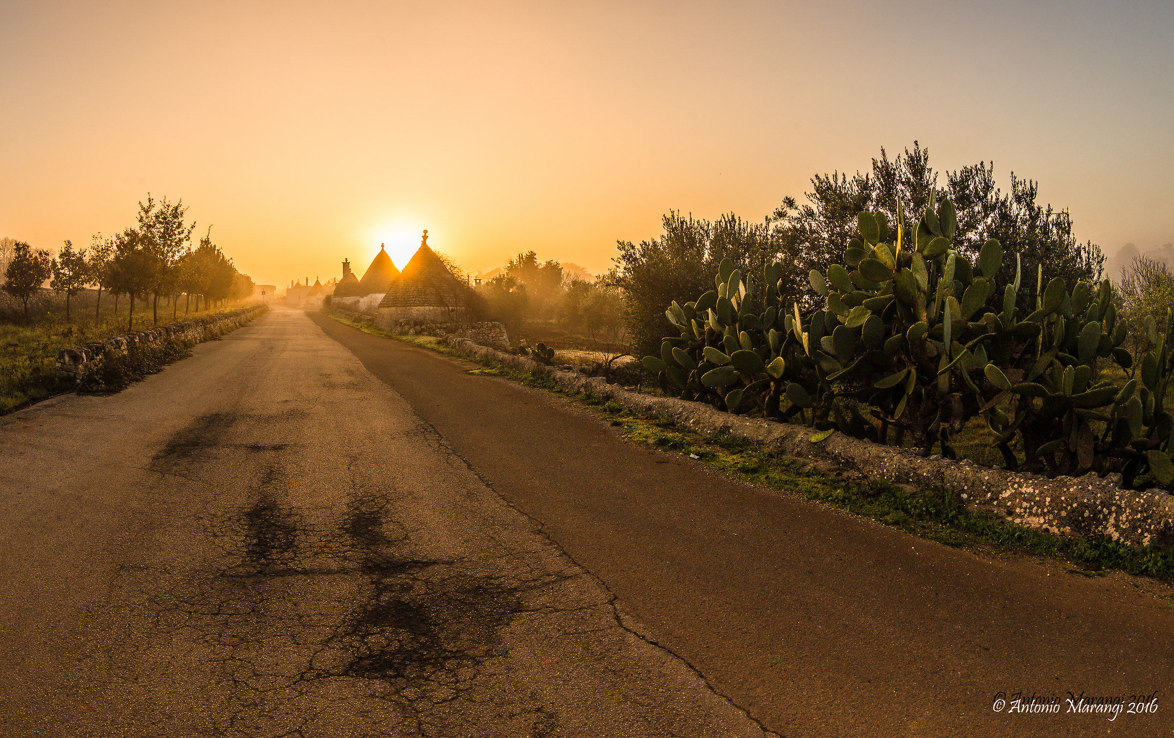 la nebbia agi irti trulli