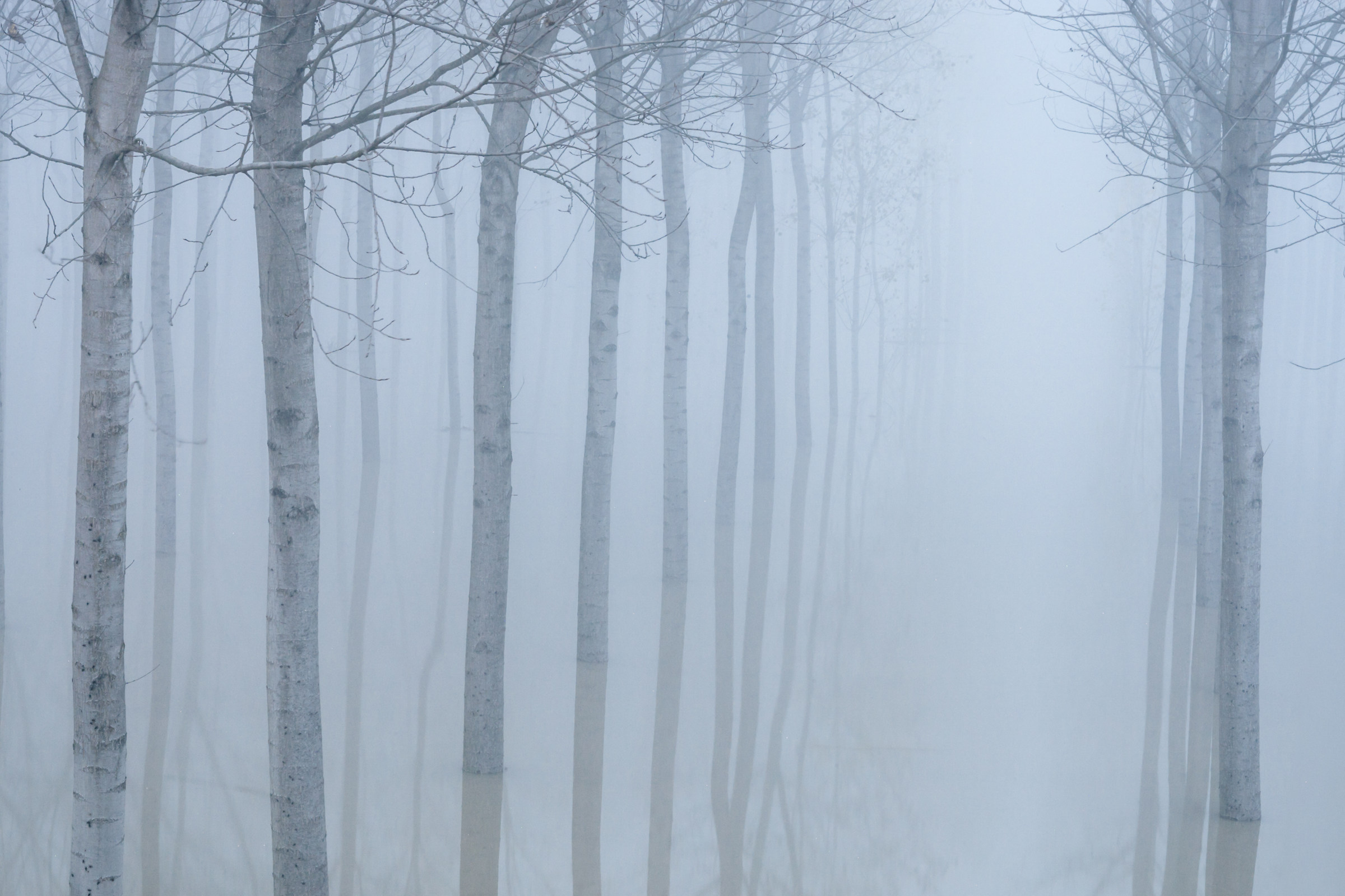 Atmosfere Alluvionali