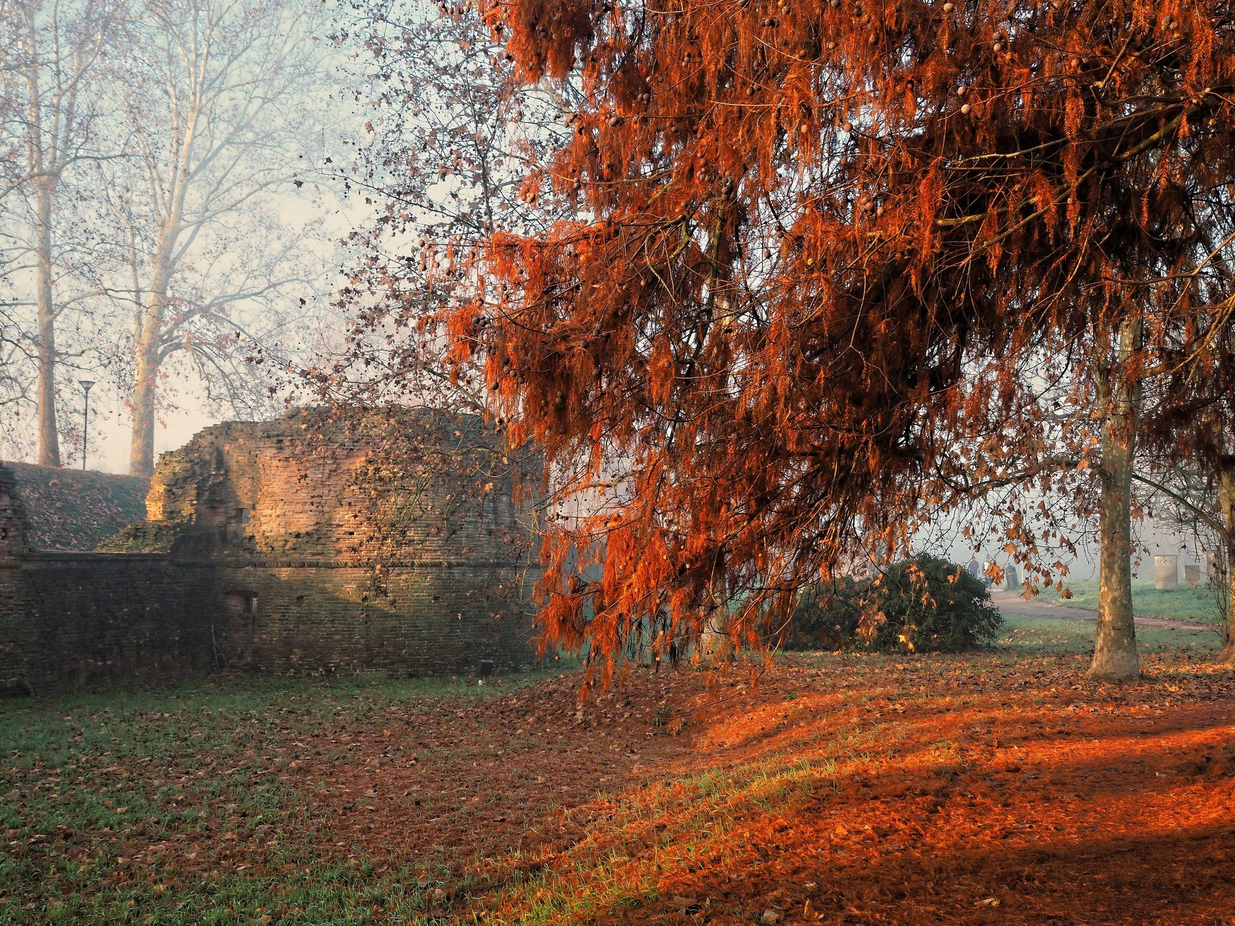 La nebbia si è alzata