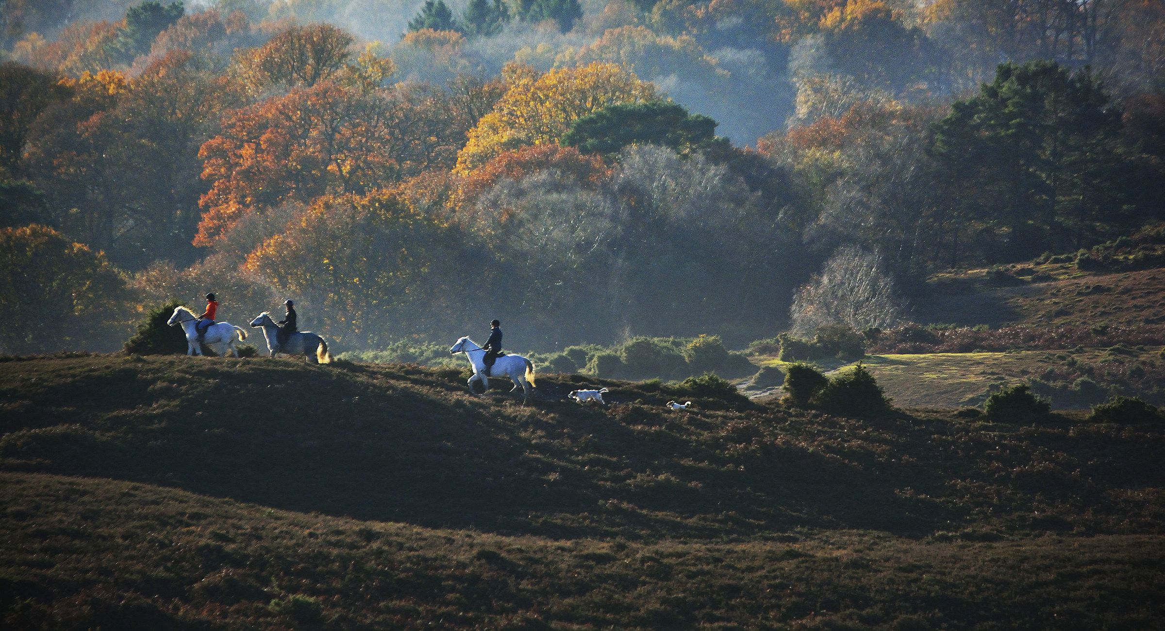 The Great Escape....!