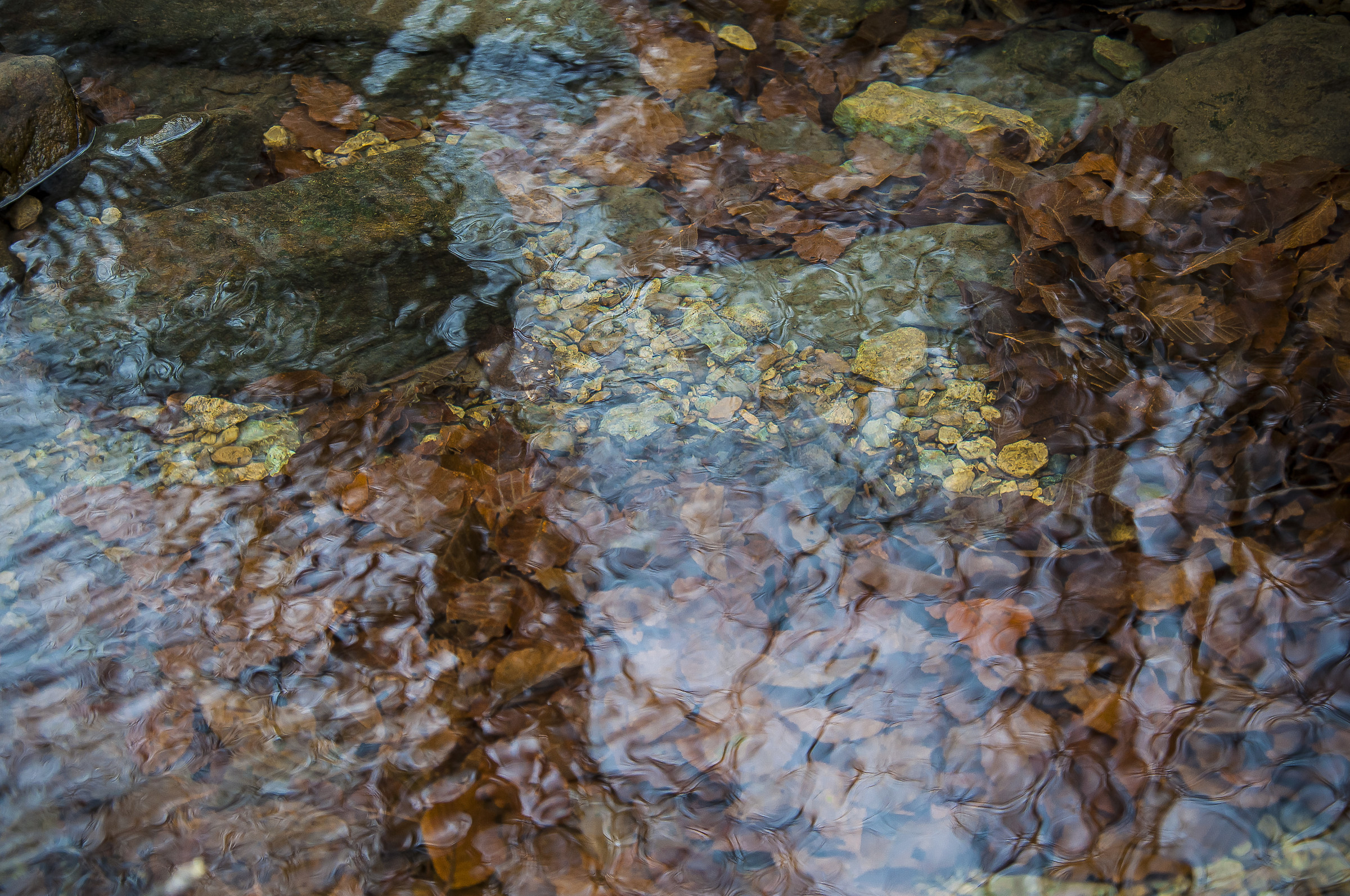 Fall under the waters of the spring