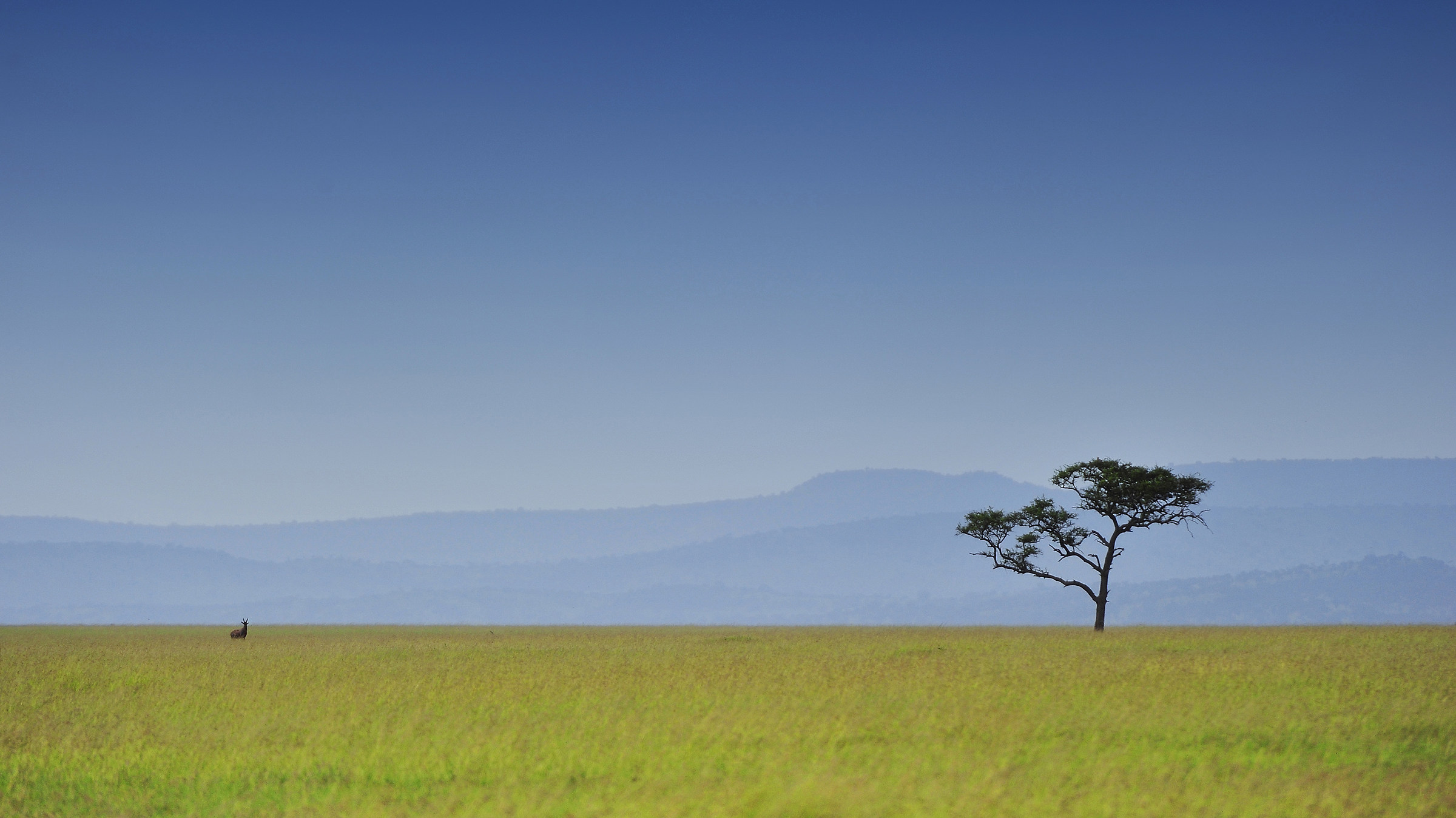 Grumeti, Tanzania Private Reserve
