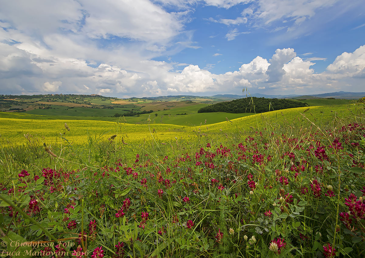 Val d'Orcia