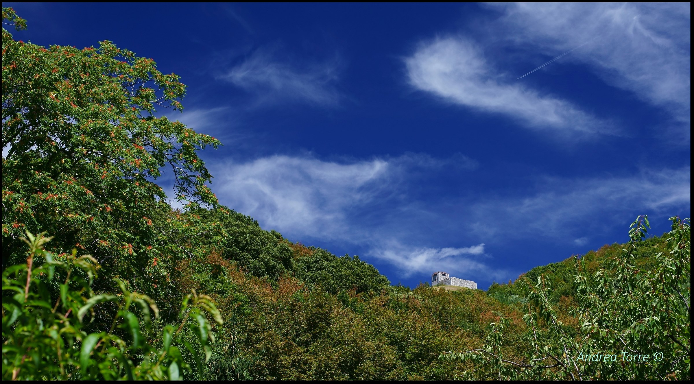Strong Two Brothers (Genoa)