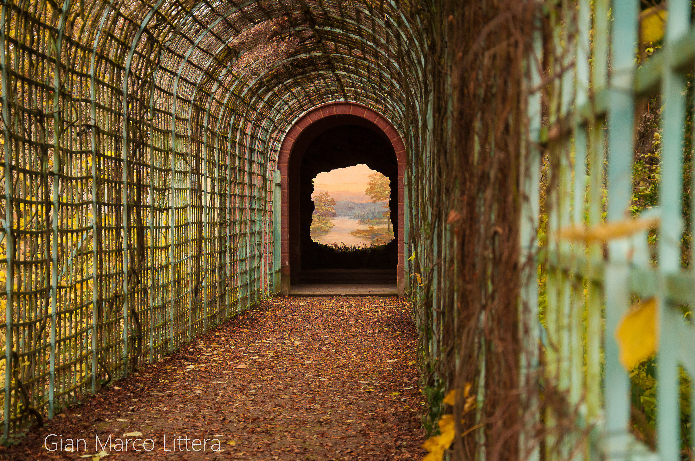 "The end of the world"