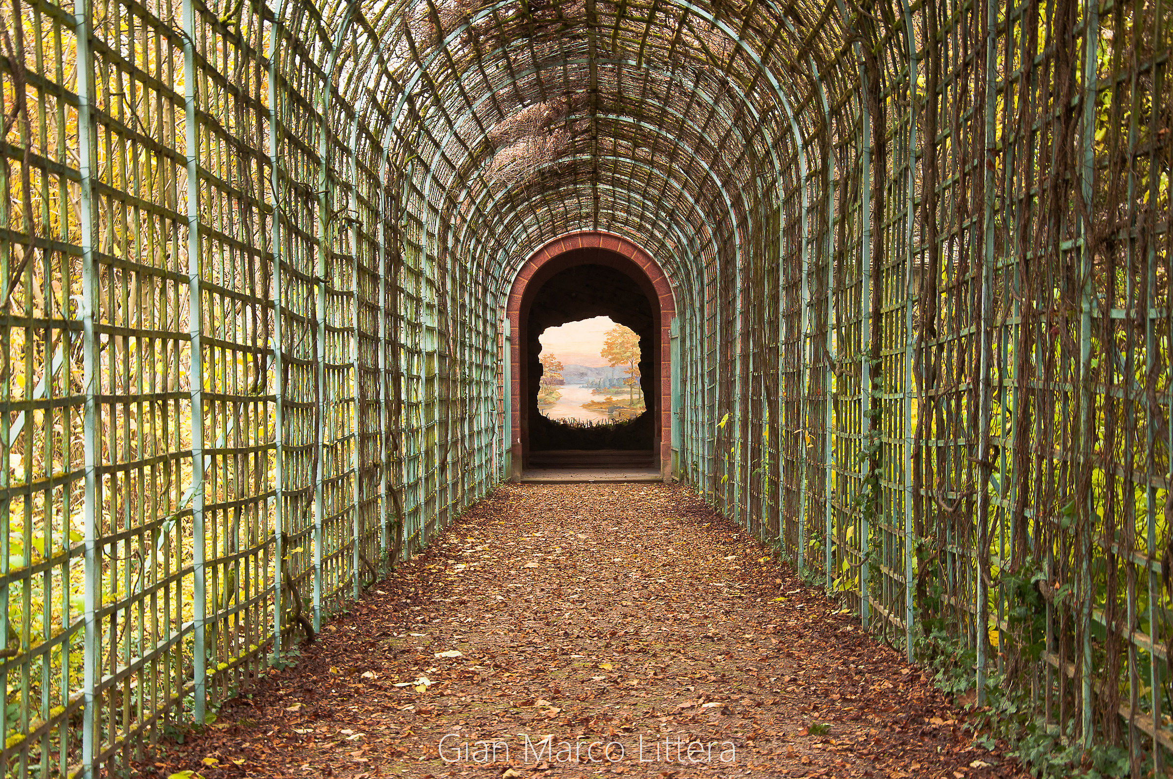 "The end of the world"