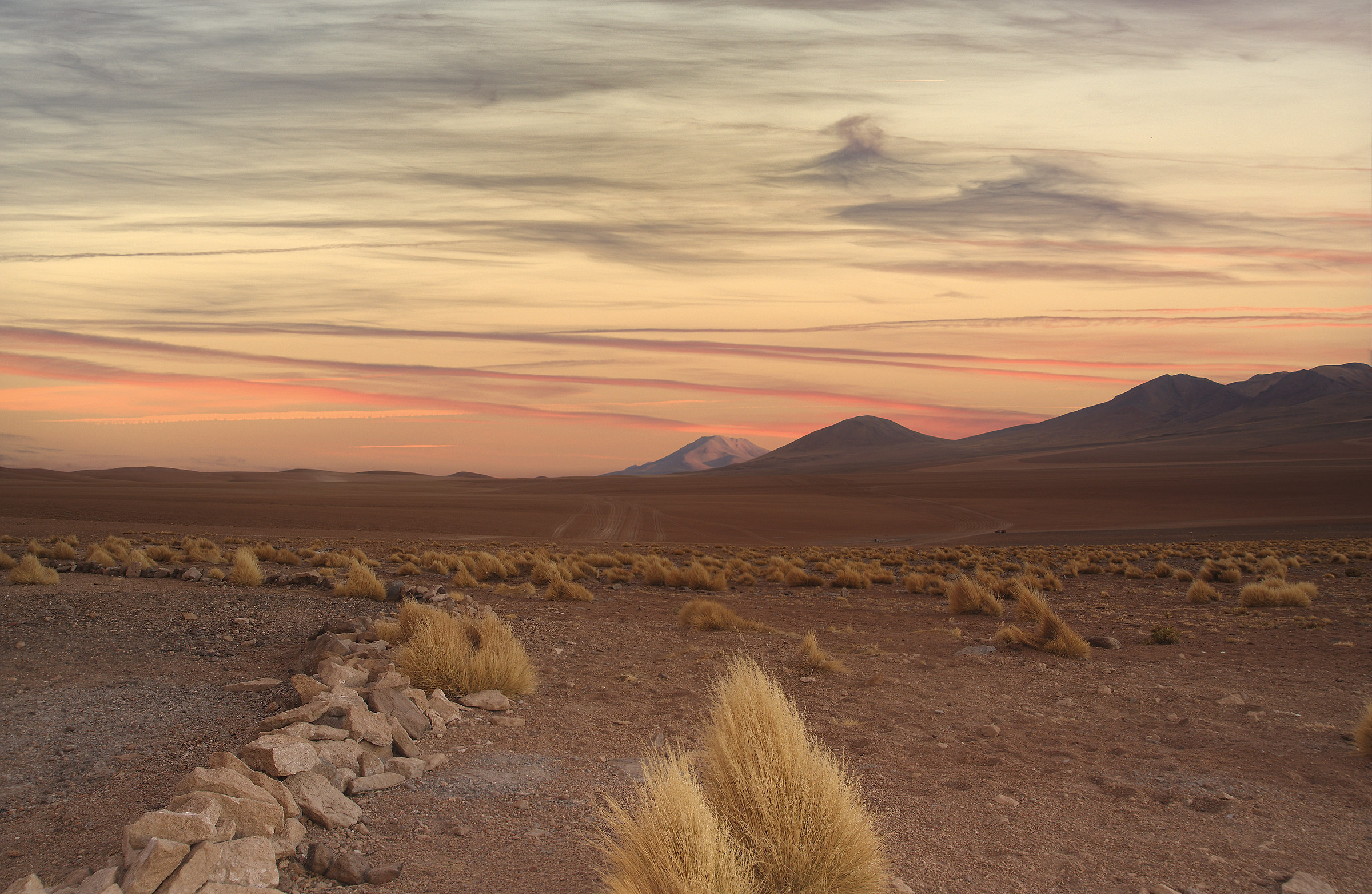 Deserto di Siloli -  Riserva andina Eduardo Avaroa