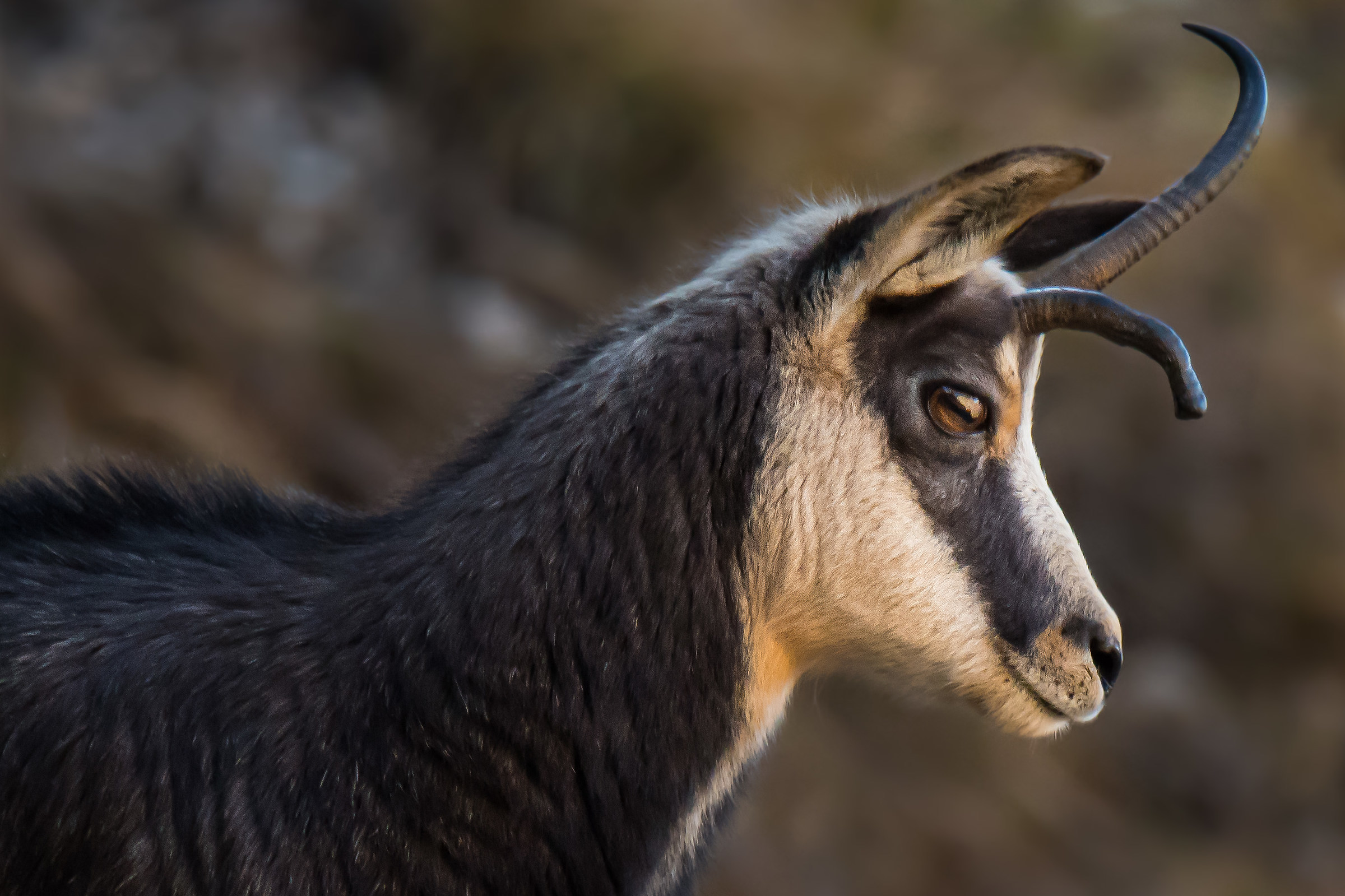 The beauty of imperfection