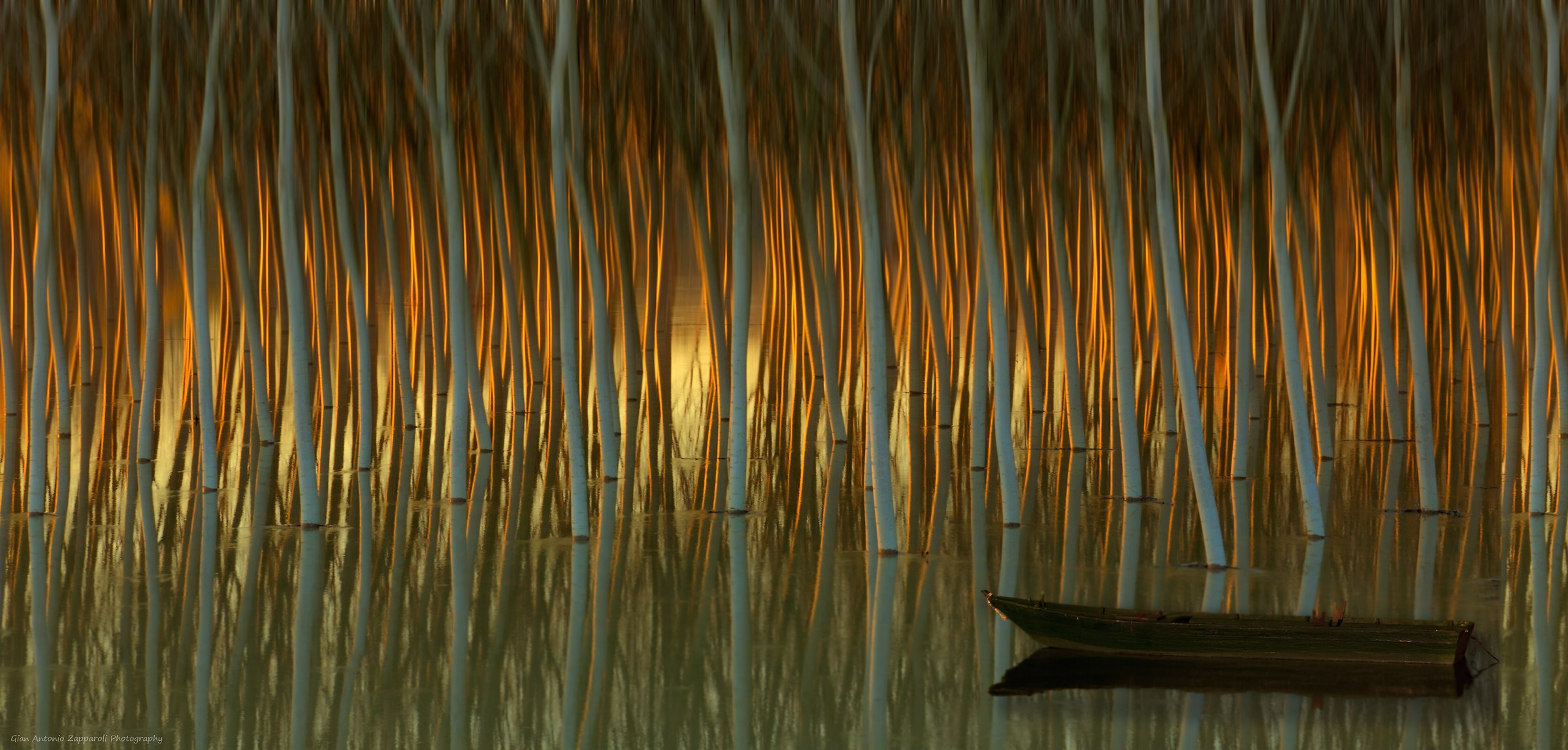 Po floodplain in Mantua