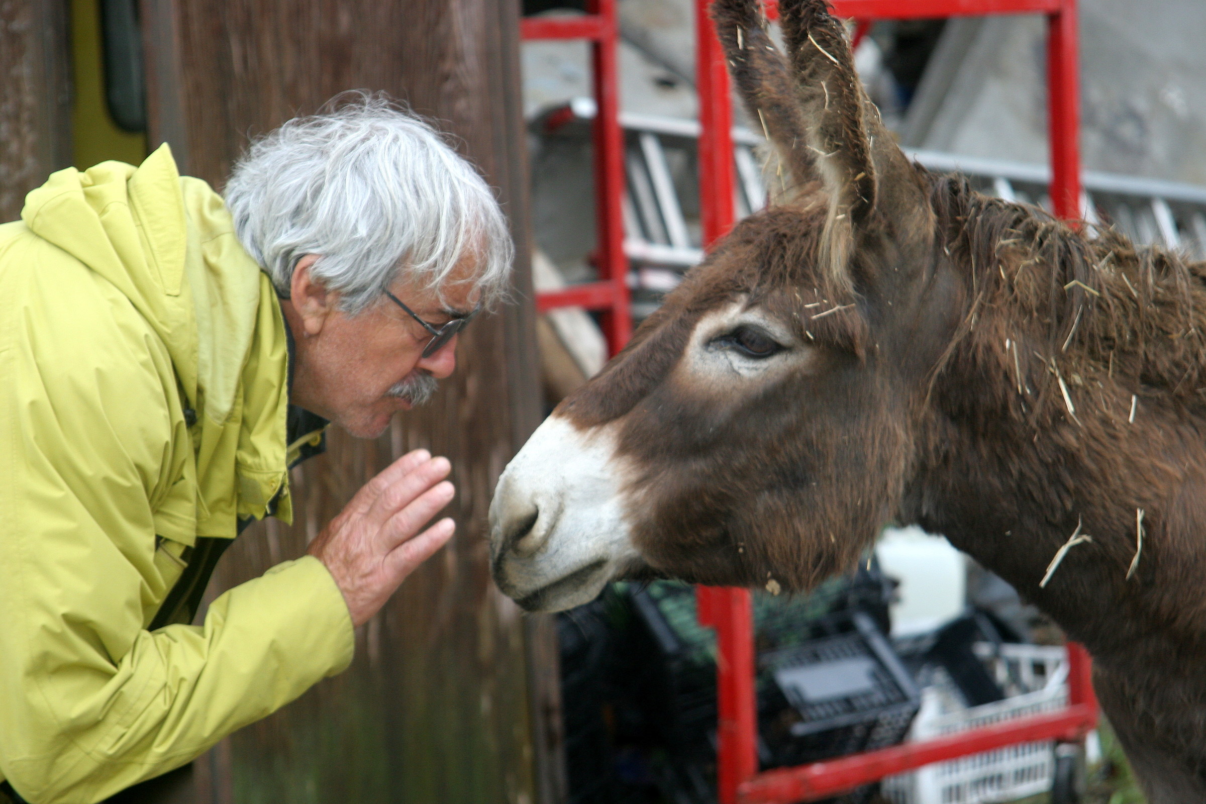 7126 Buona intesa .........