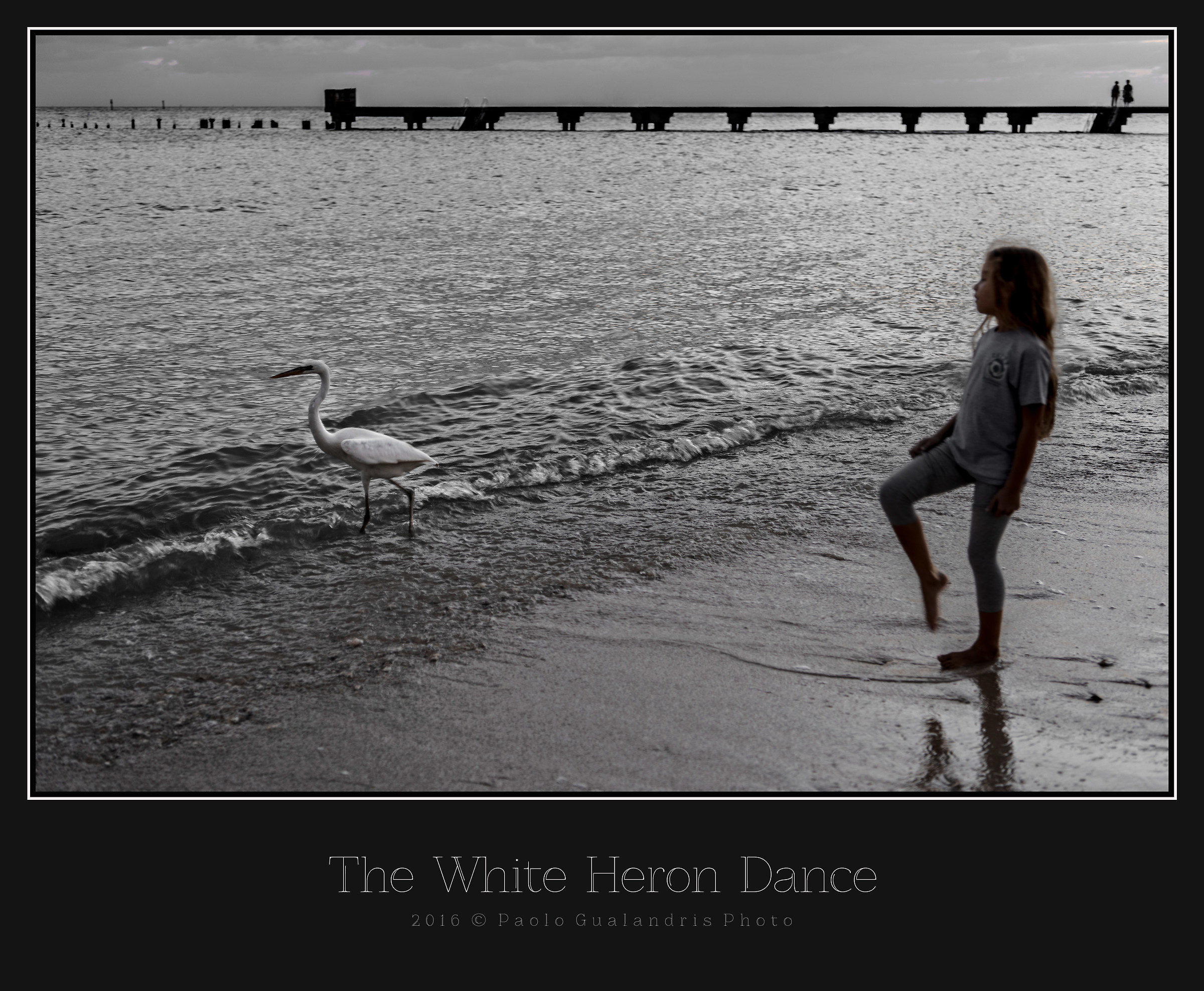 The White Heron Dance