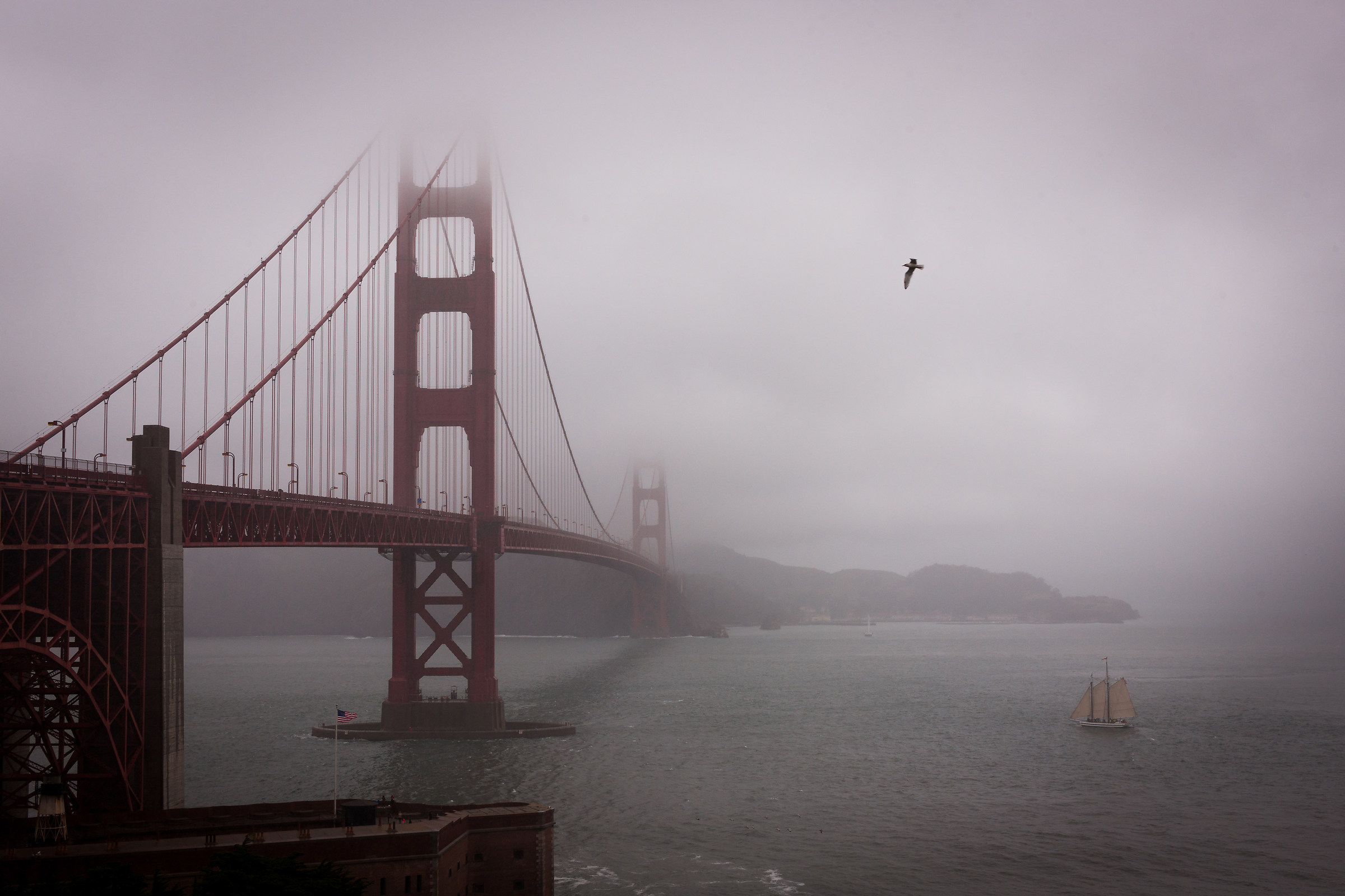 Nebbia sul Golden Gate con veliero, gabbiano e bandiera