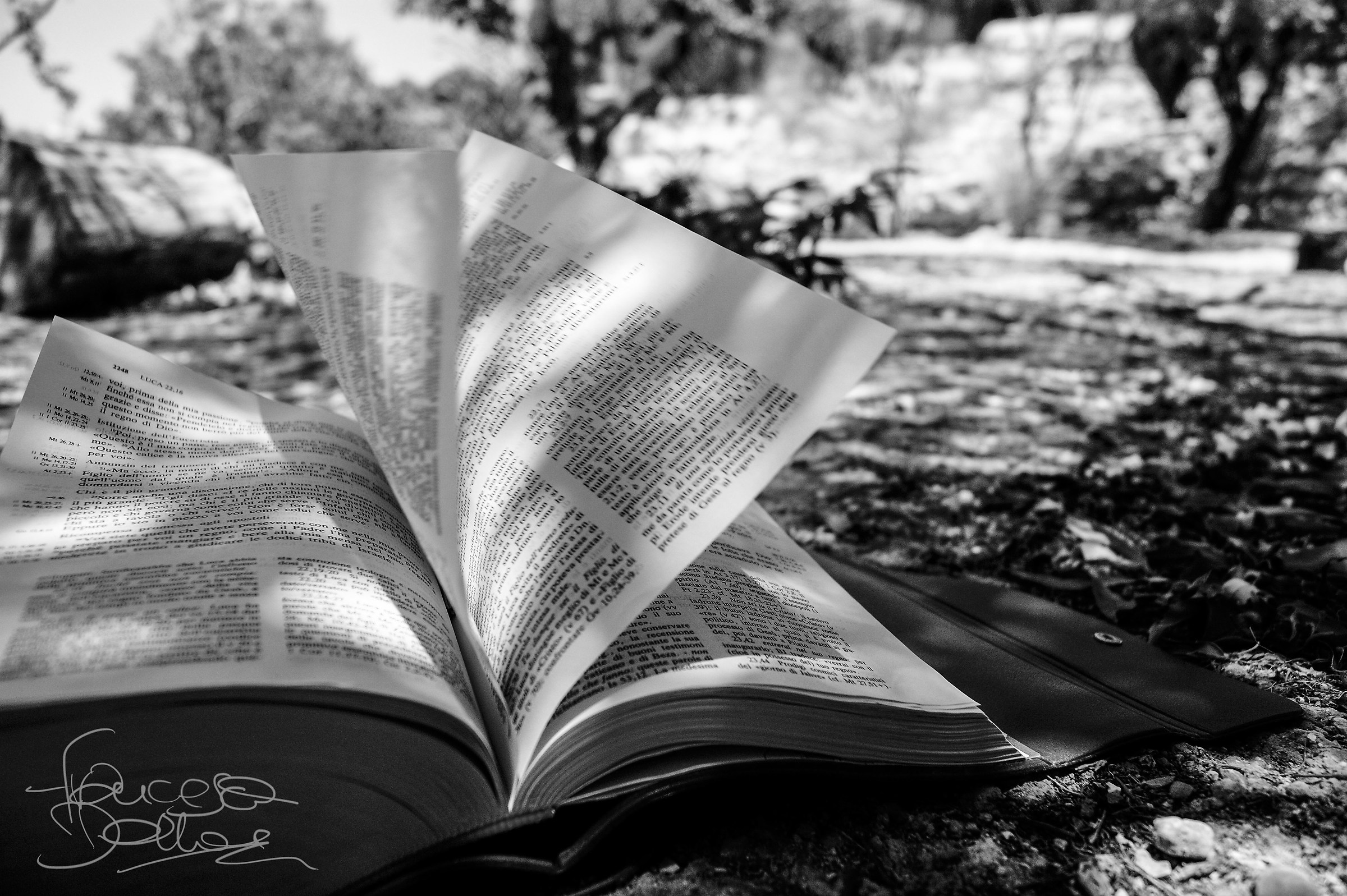 Stay here, keep watch with me ..