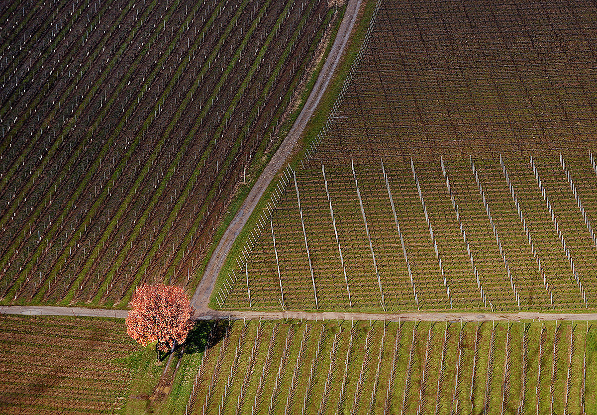 Strade di Franciacorta V°