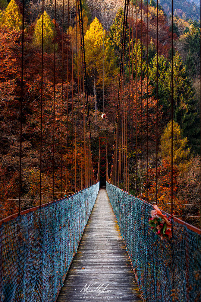 A bridge to autumn