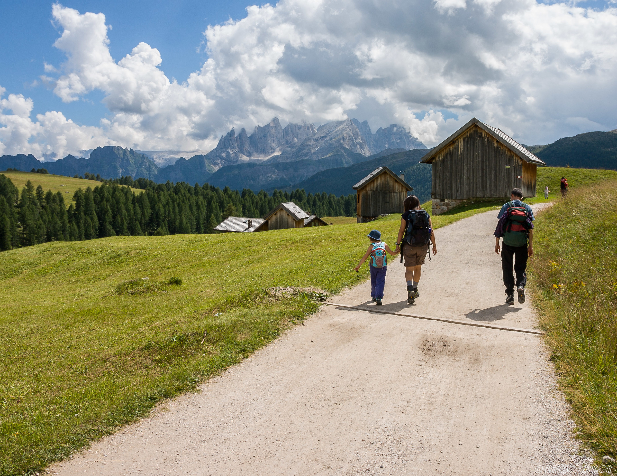 Pale from Passo San Pellegrino
