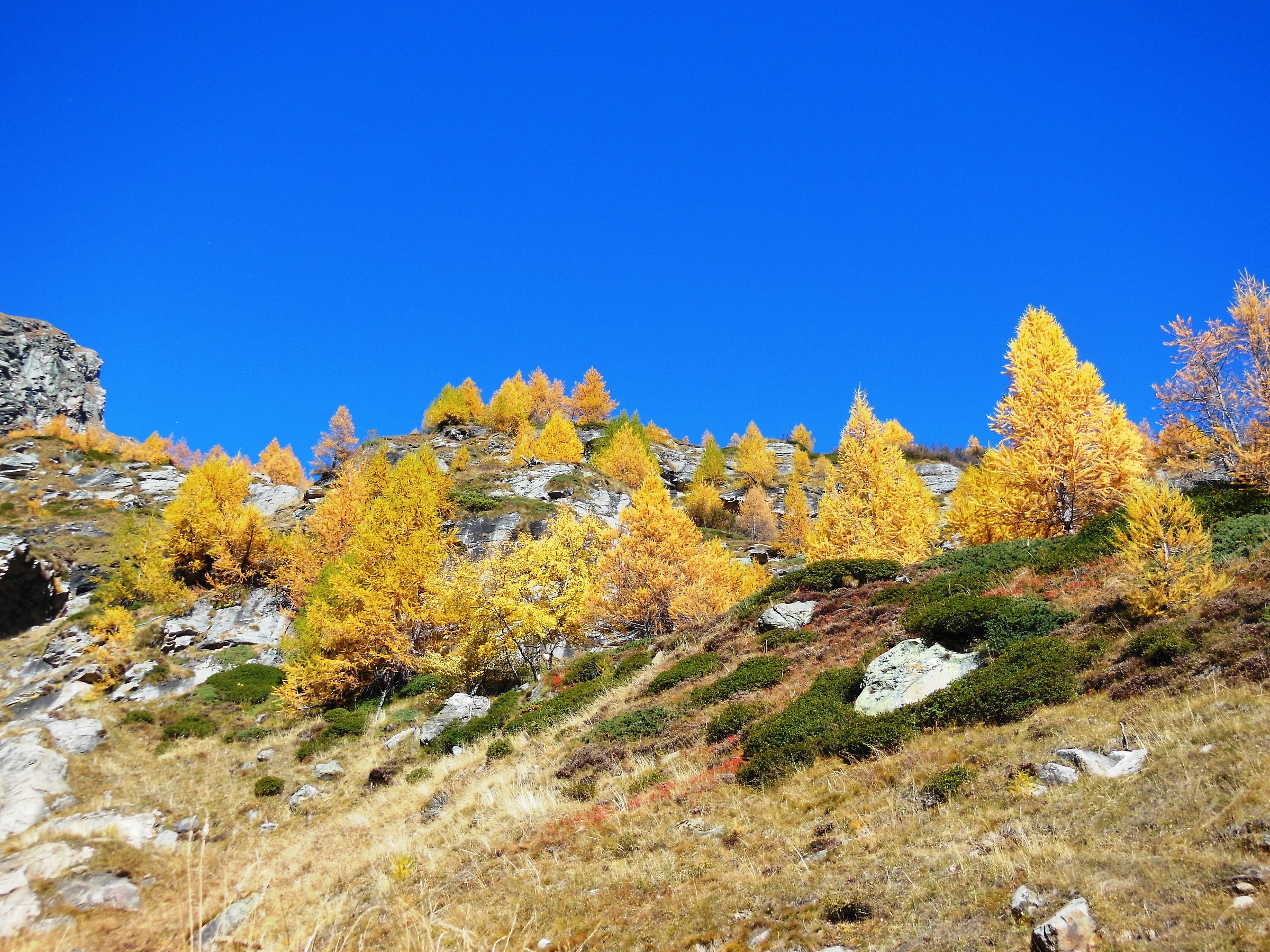 October in Alpe Veglia