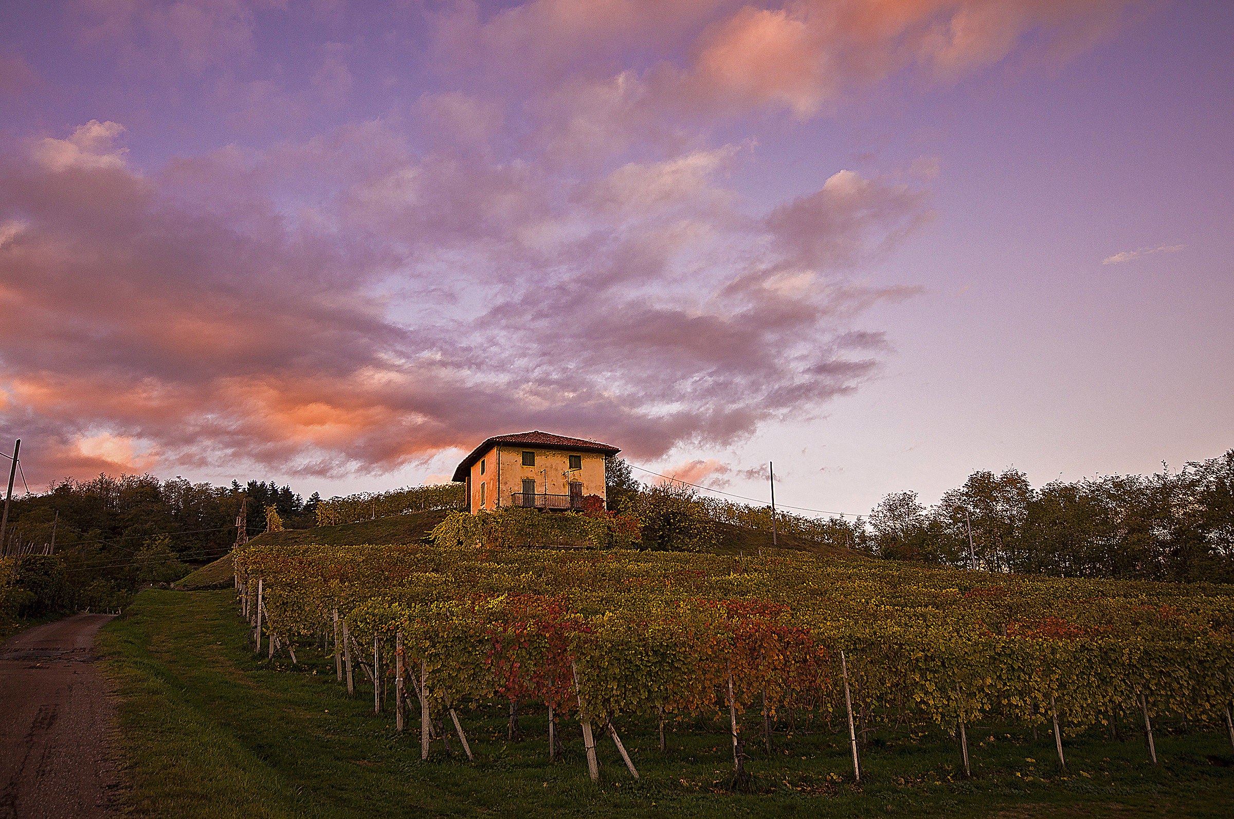 Autunno tra i vigneti