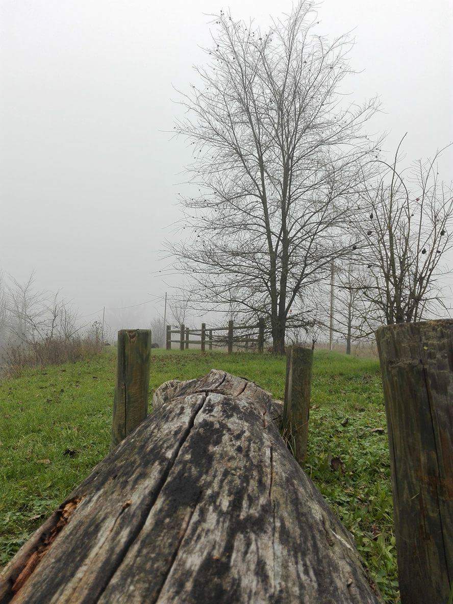 winter day my first photo