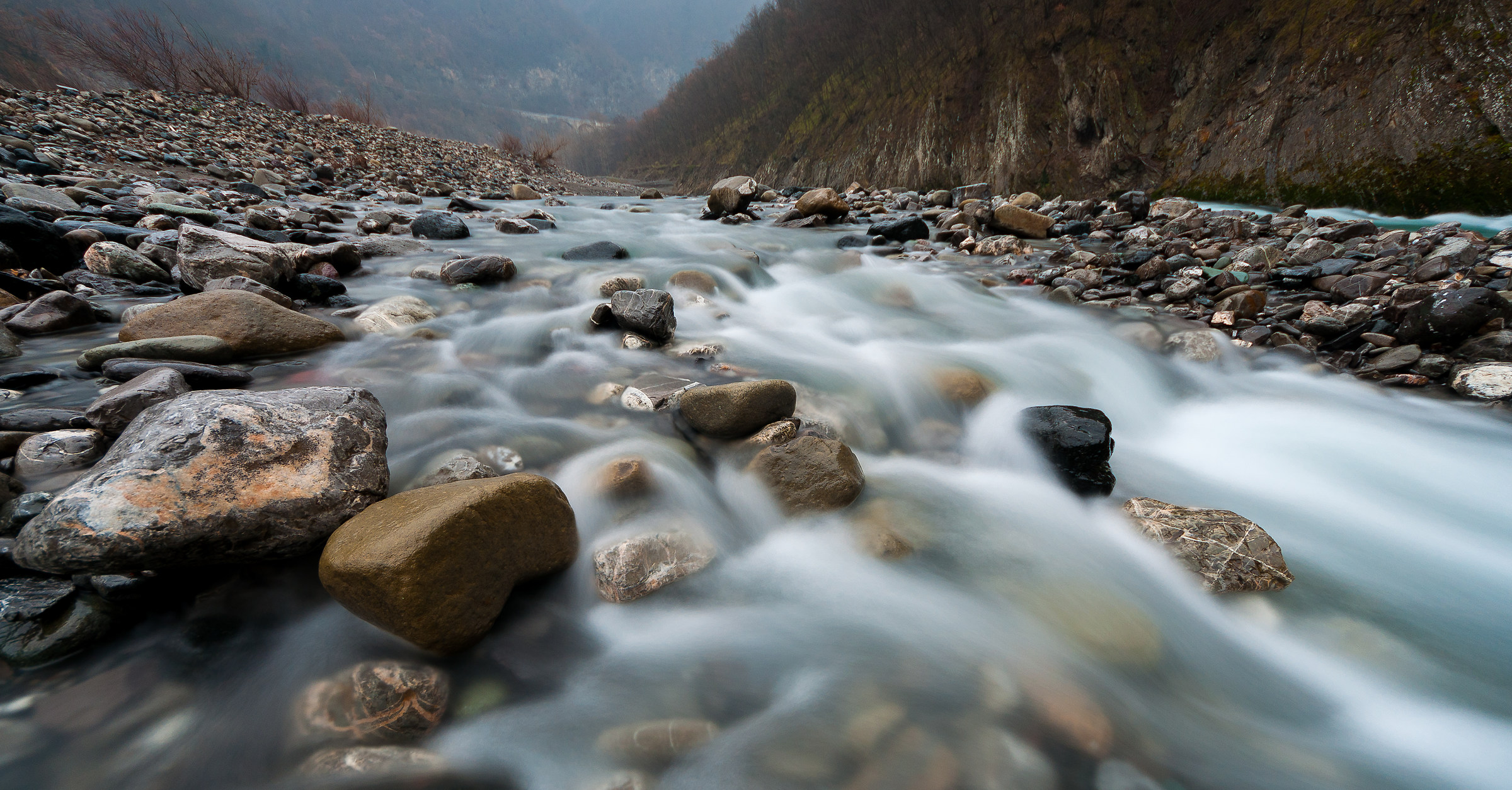 Wild wonderfully dear Trebbia