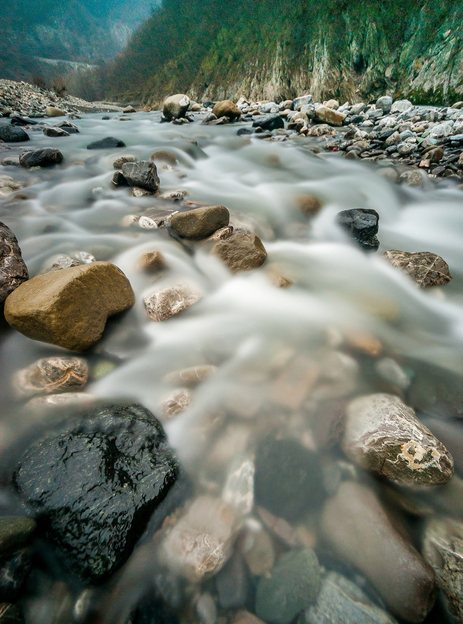 Wild wonderfully dear Trebbia (vertical)
