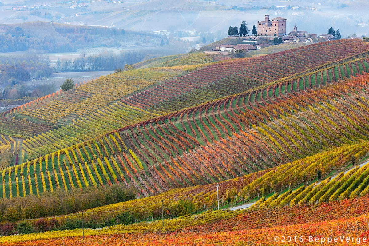 Langhe