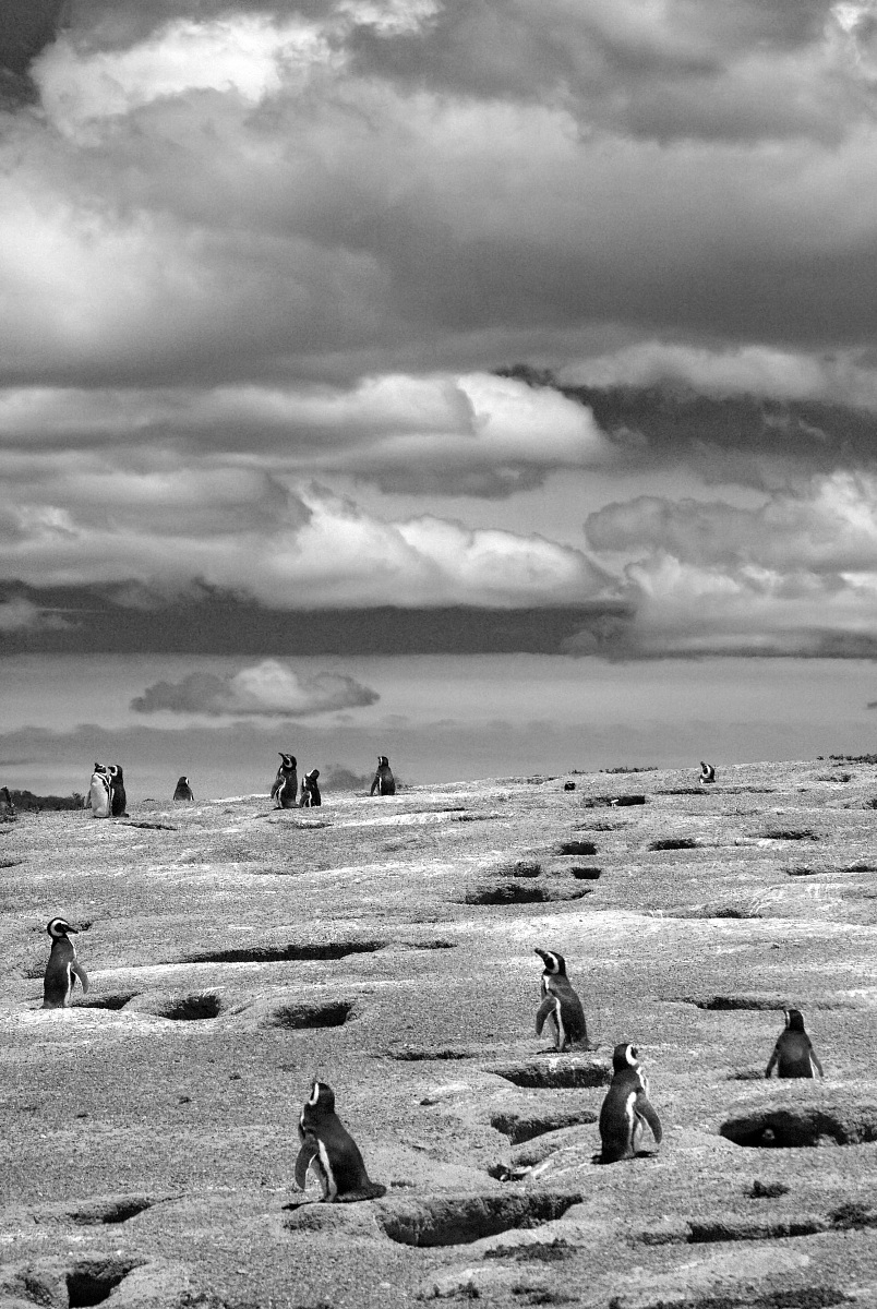 311.Patagonia, Route 40