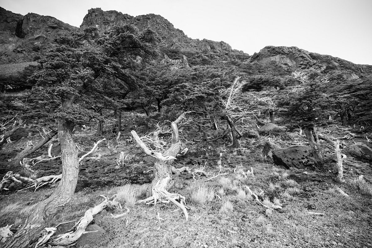 7.Patagonia, Route 40