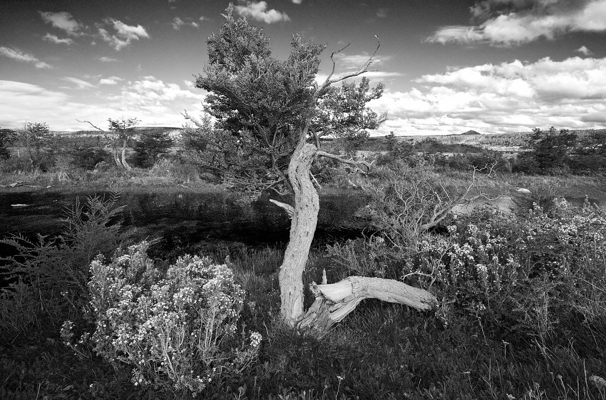 16.Patagonia, Route 40