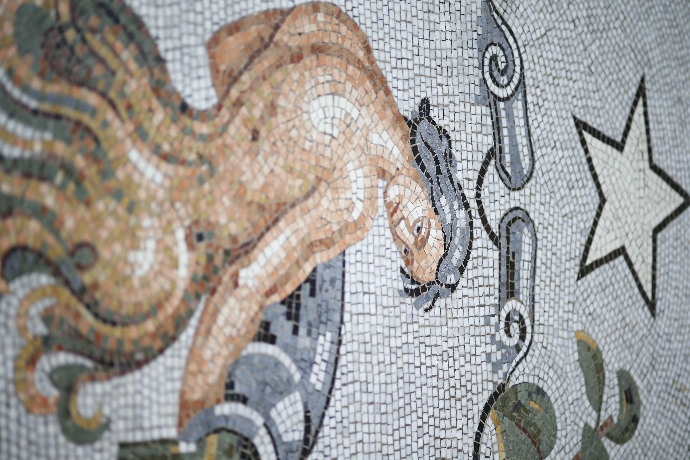 Aquarius - Galleria Umberto Napoli