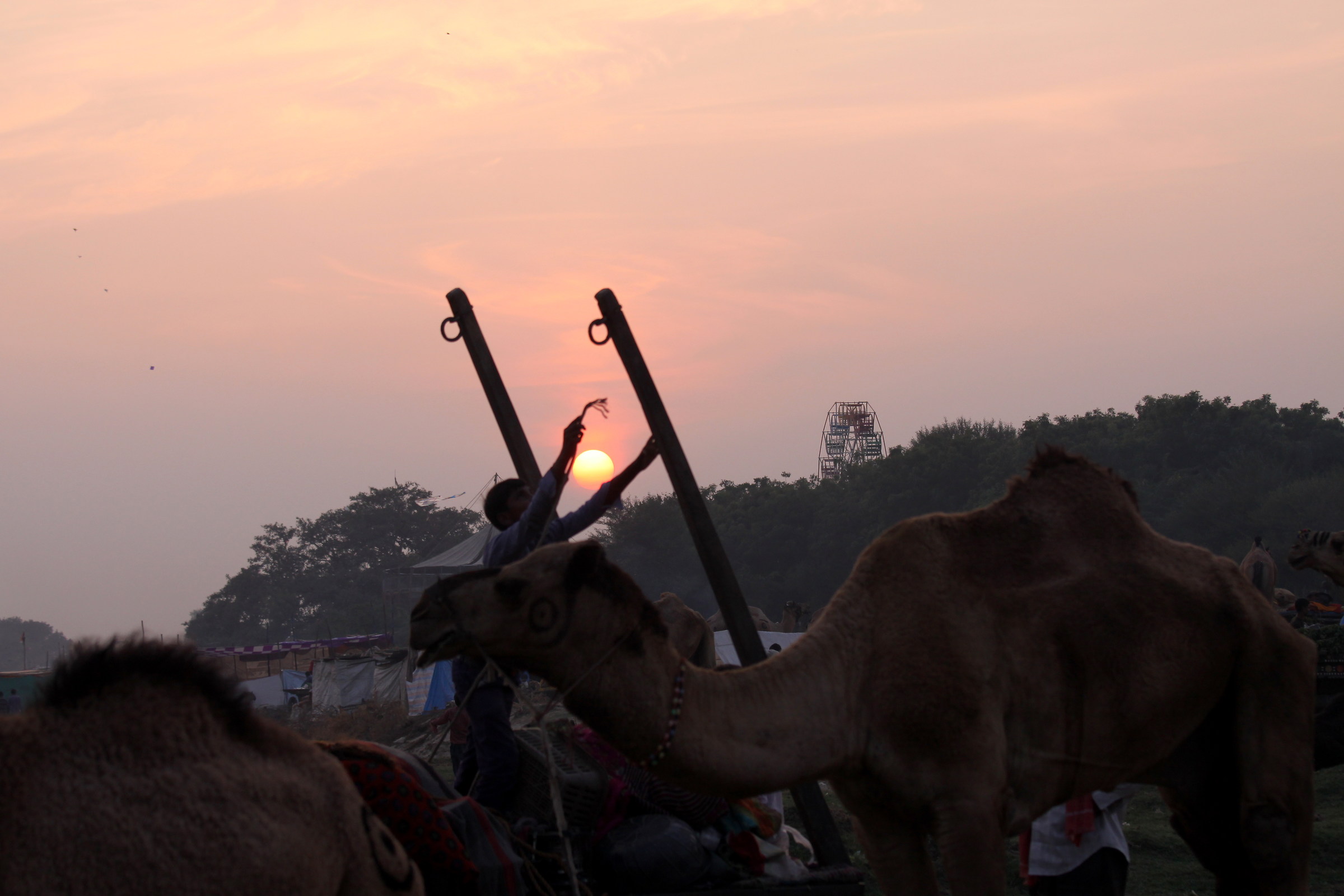 0012 High Binding .........