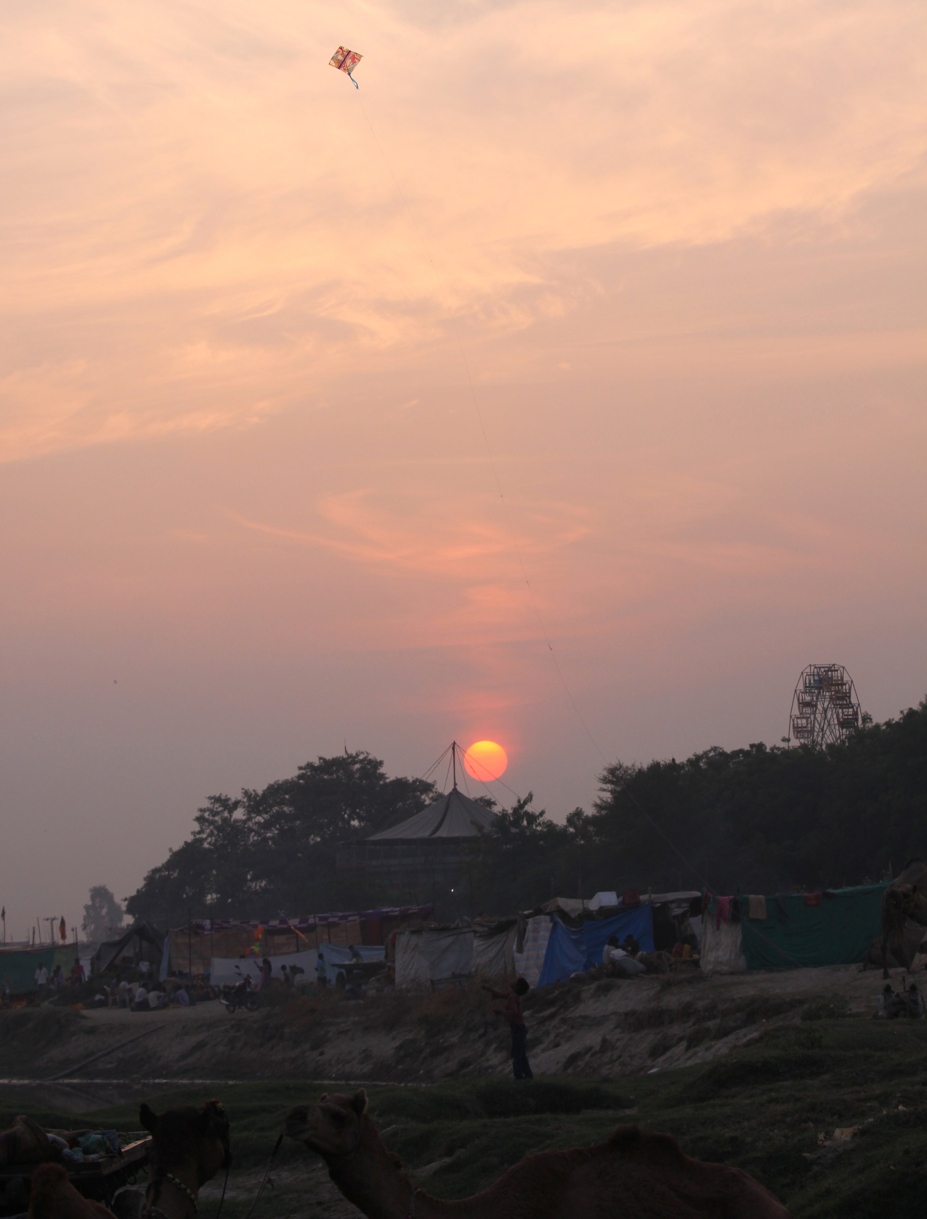 0014 Bravissimo manipulator