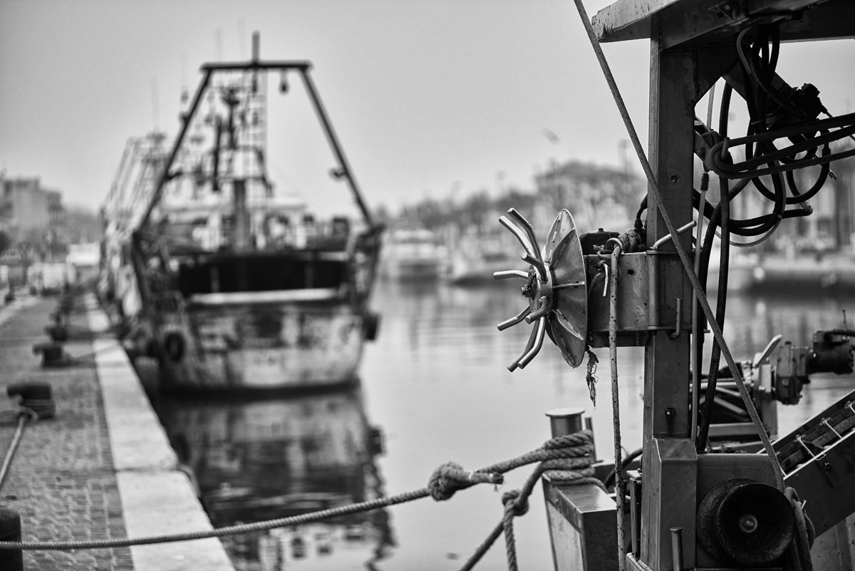 Port of Rimini