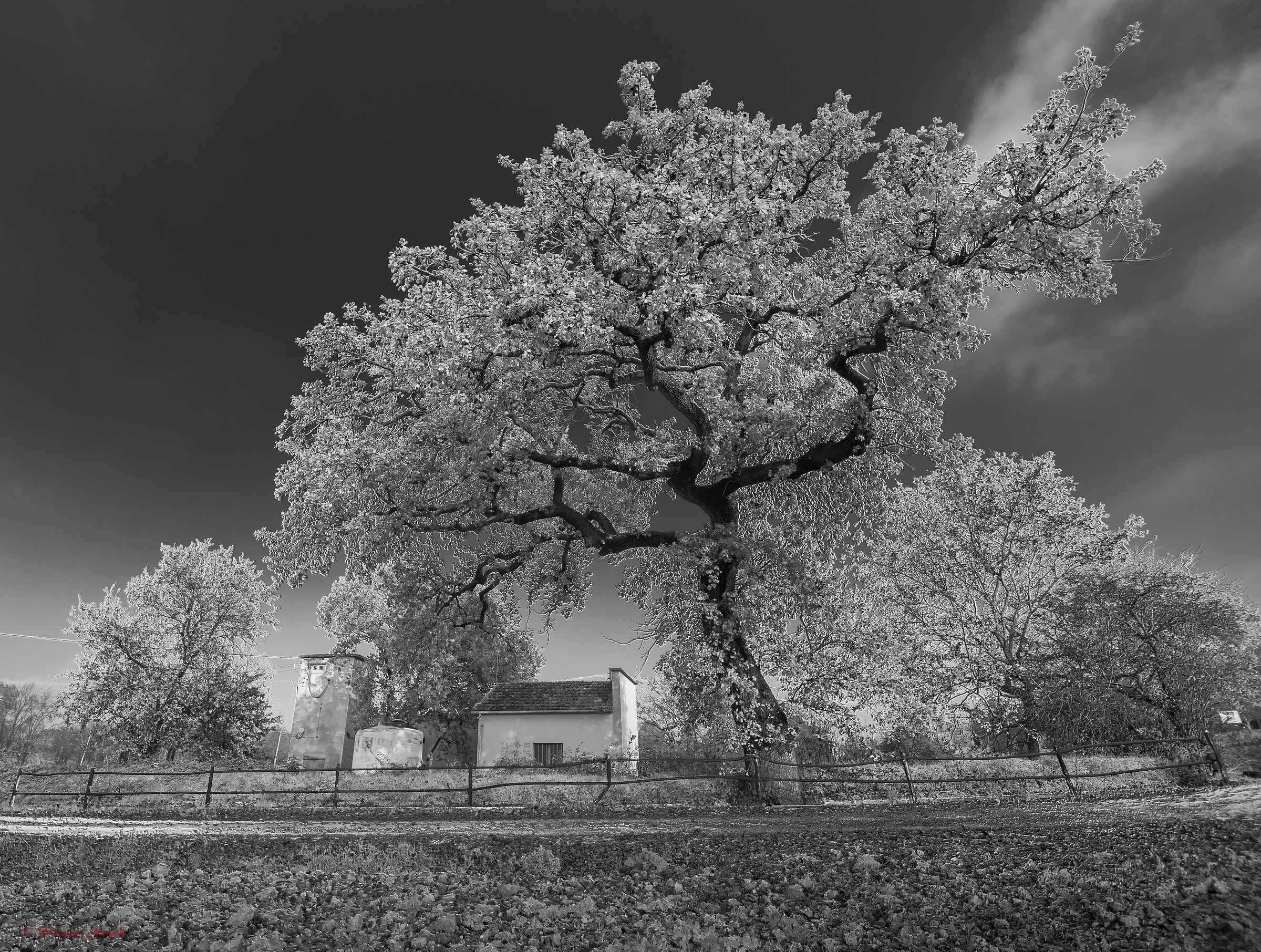 Meglio tardi che mai