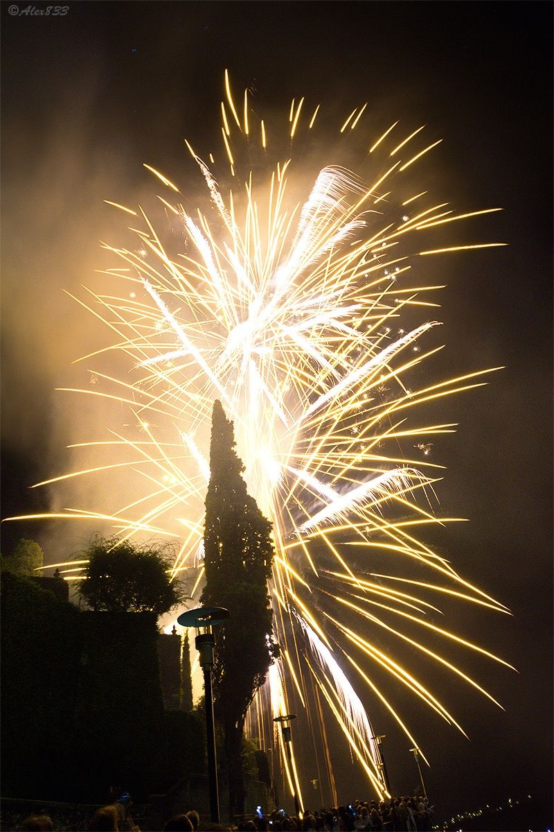 Fires Gravedona 2012