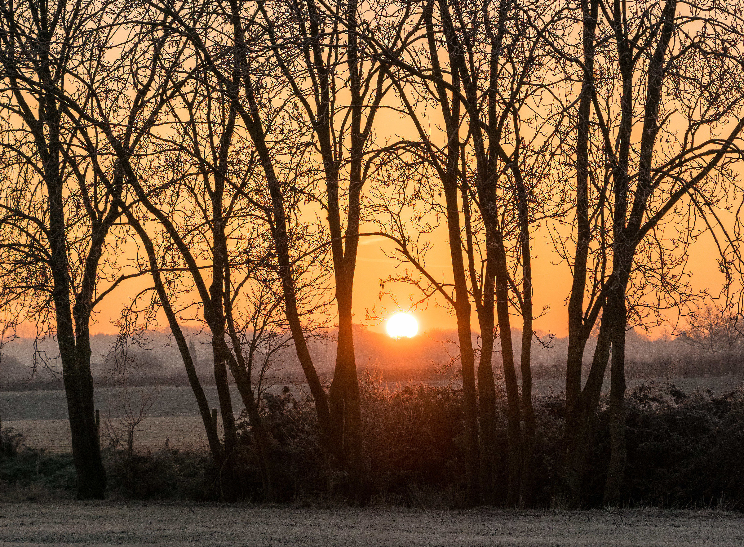 Rise of the Winter Sun