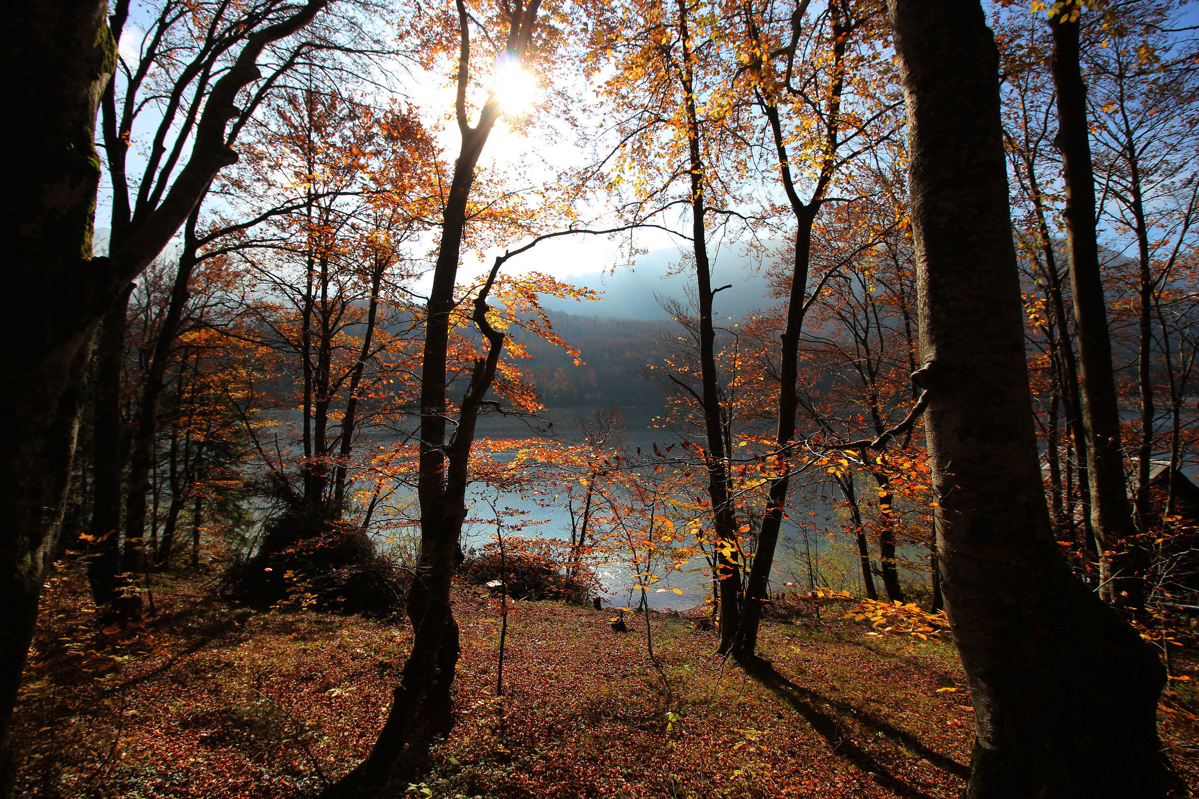 Luce del mattino sul lago