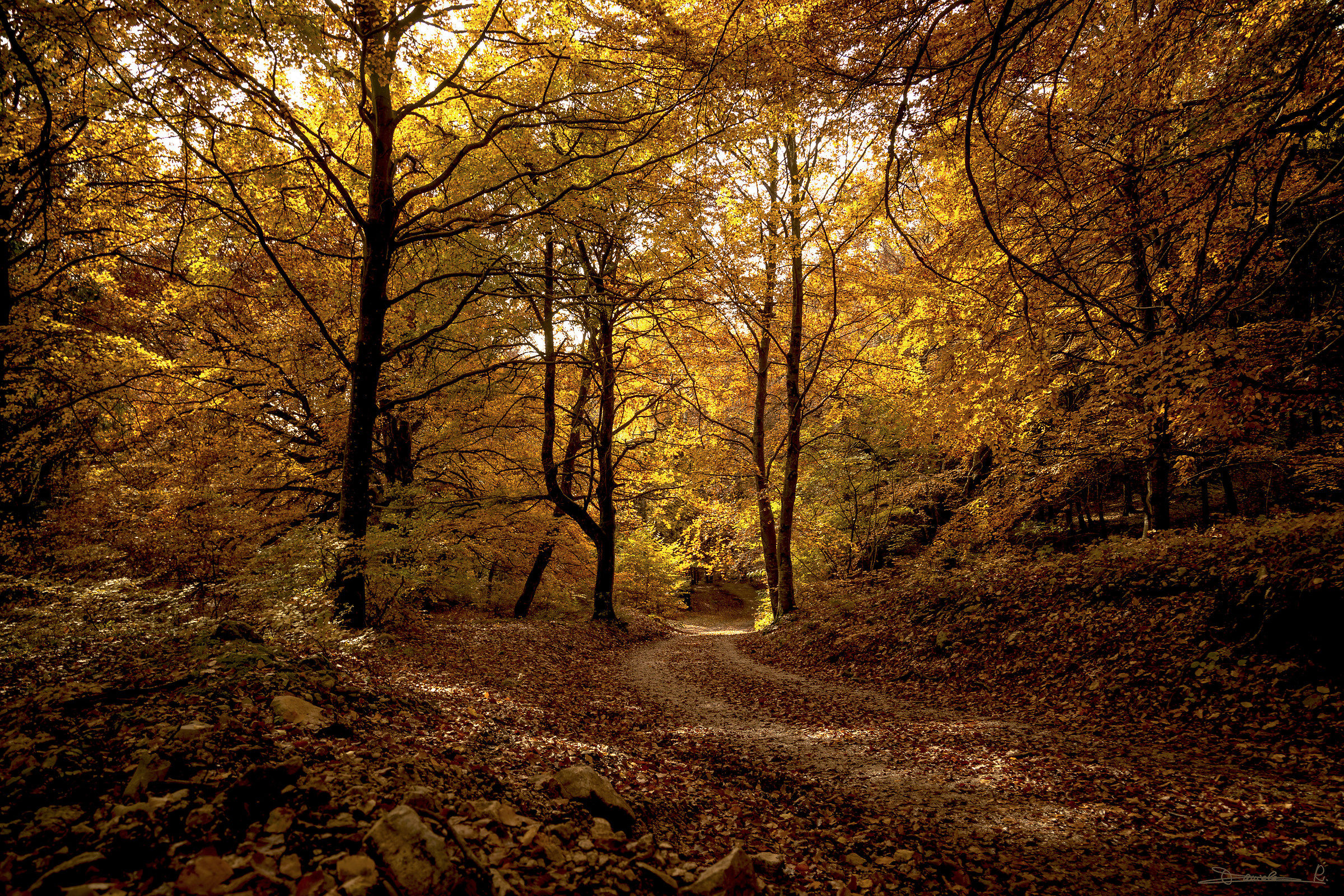 Manca solo Cappuccetto Rosso