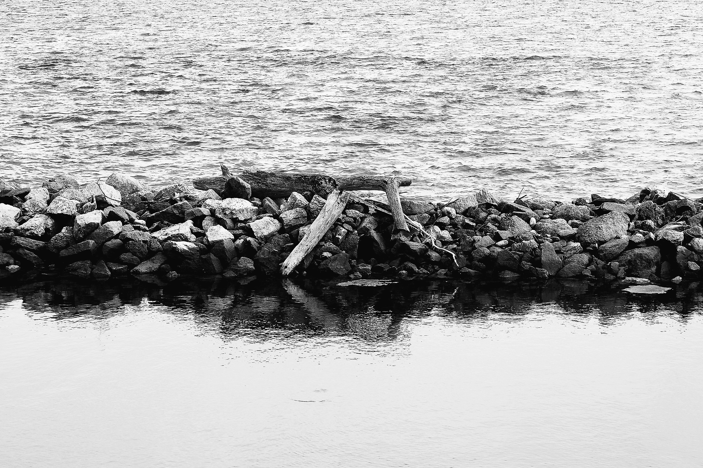 in trunks bag of Scardovari