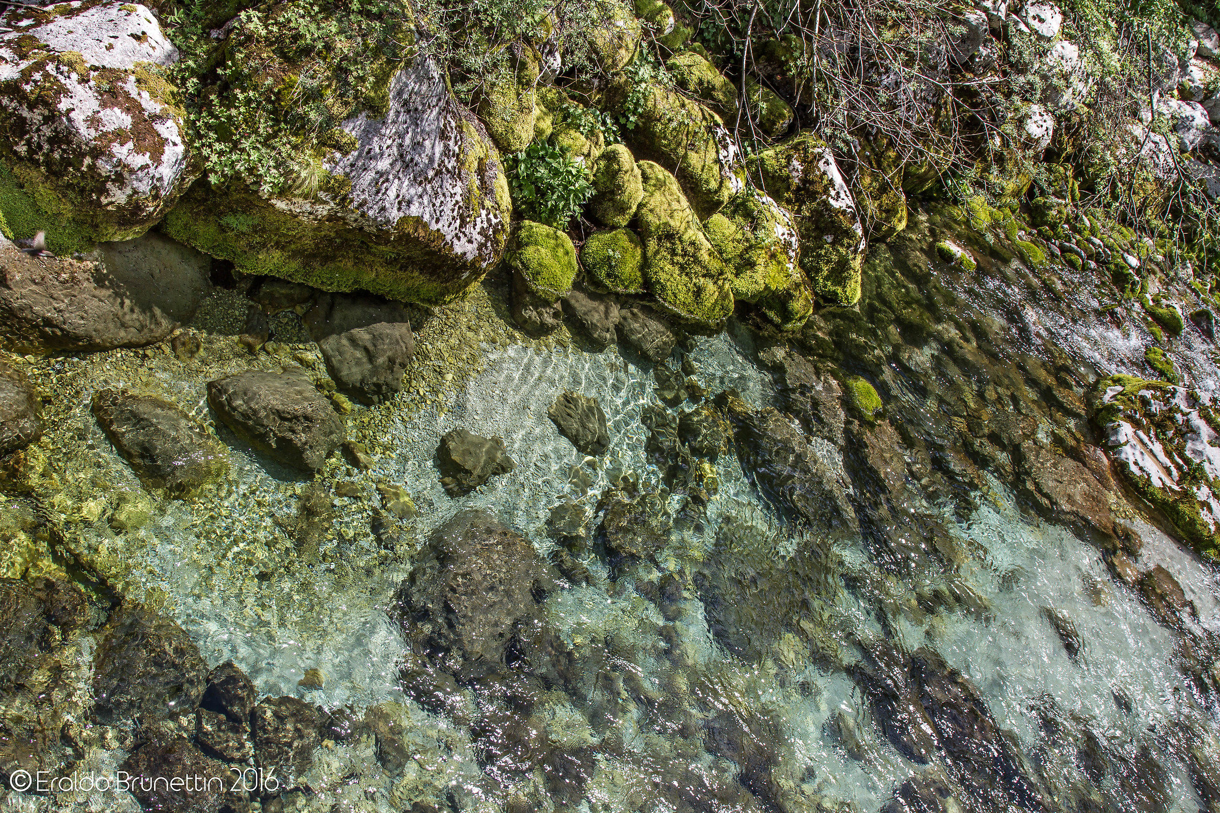 Ruscello montano.