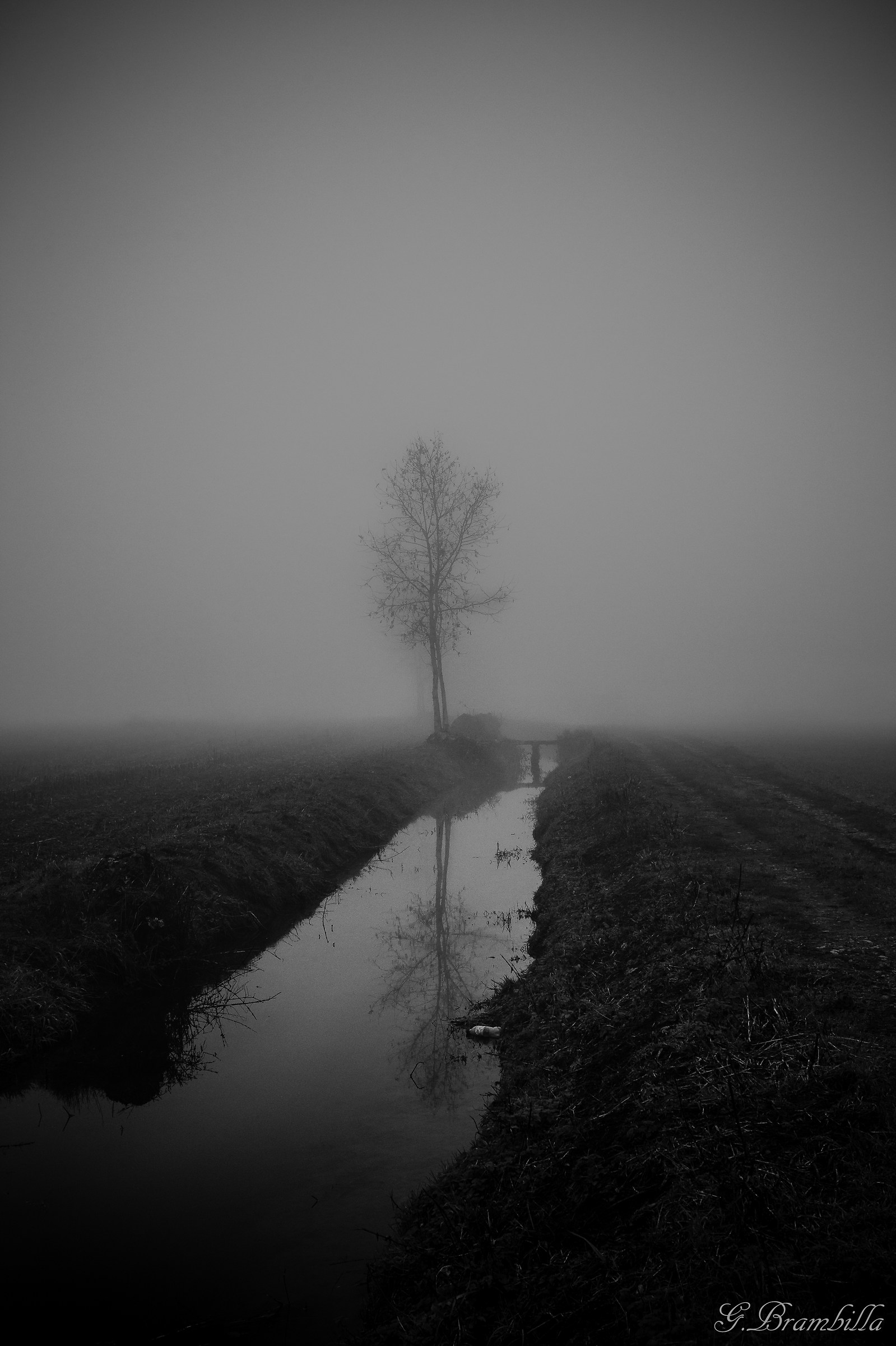 rispecchio nel nulla