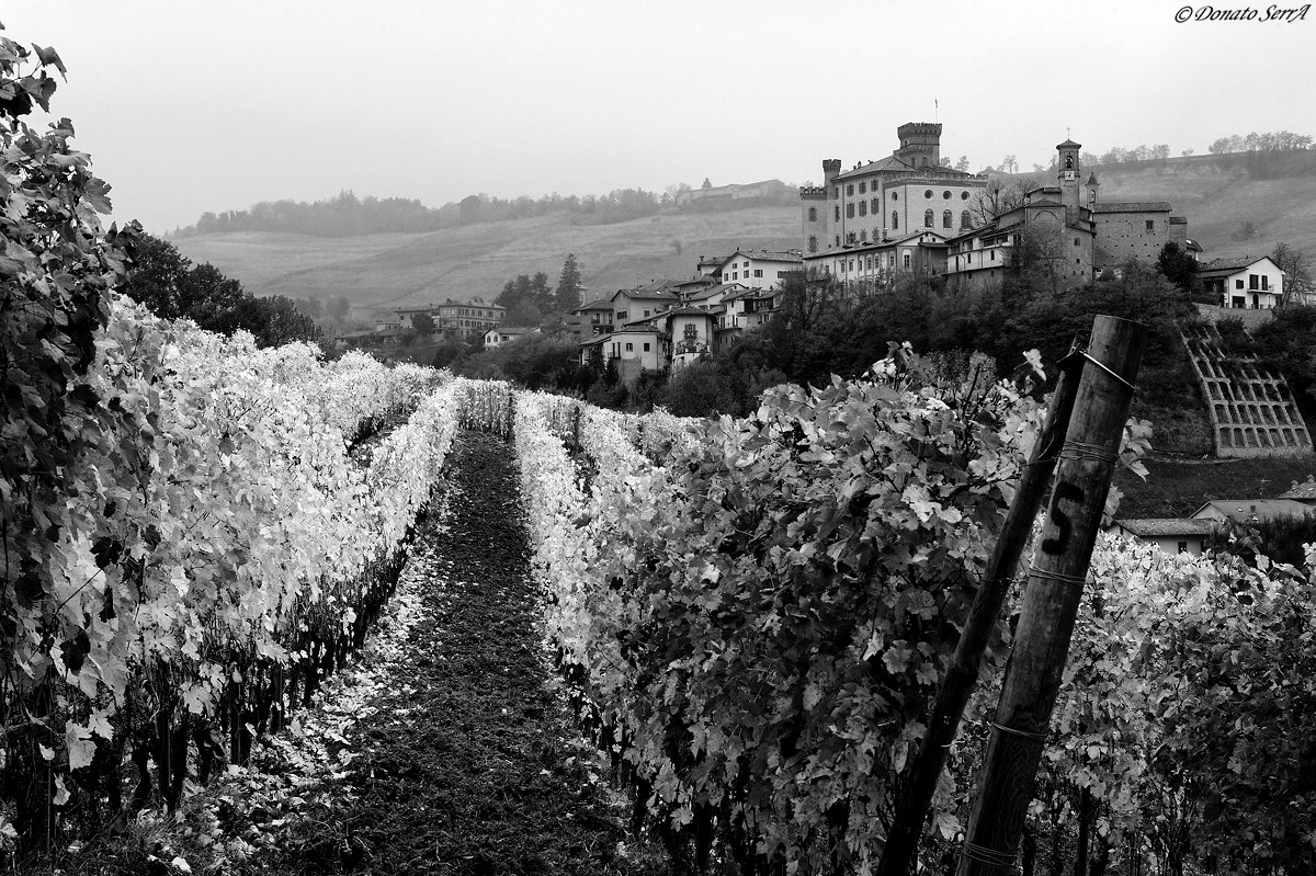 Castello di Barolo visto dalle vigne