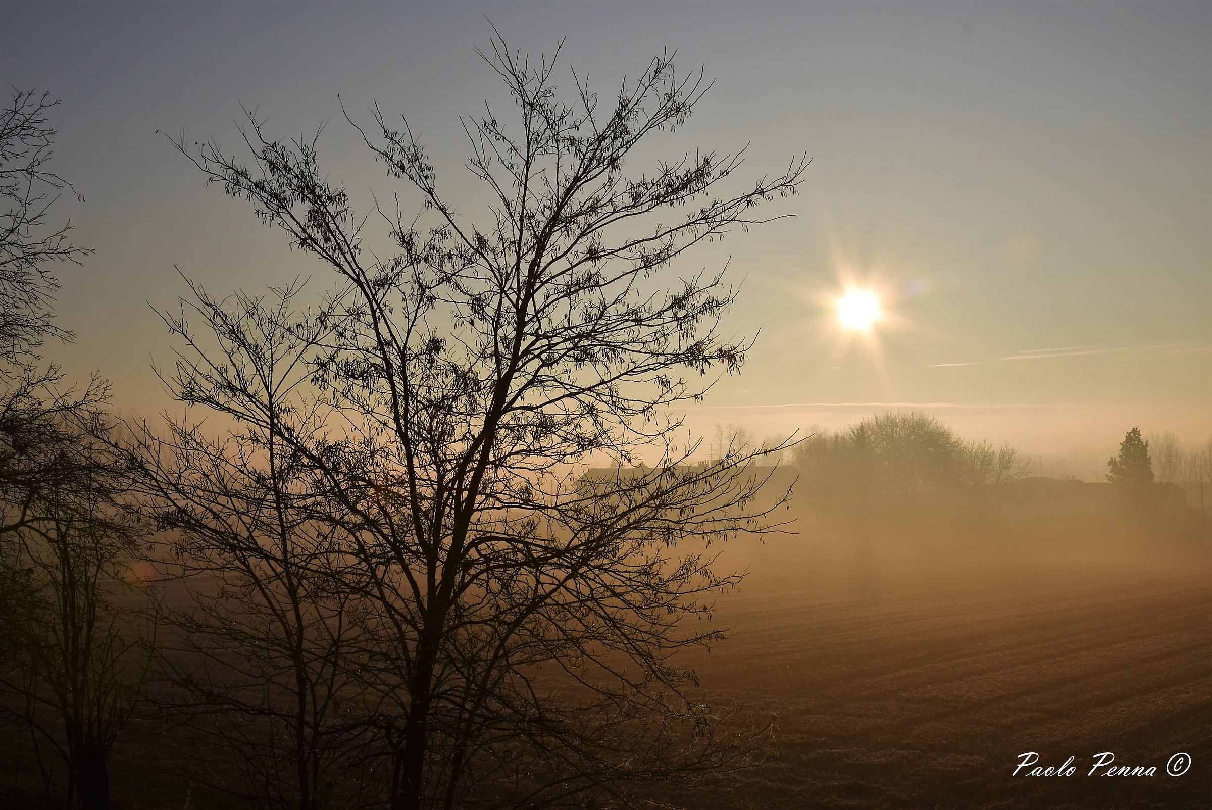 Il mattino ha l'oro in bocca