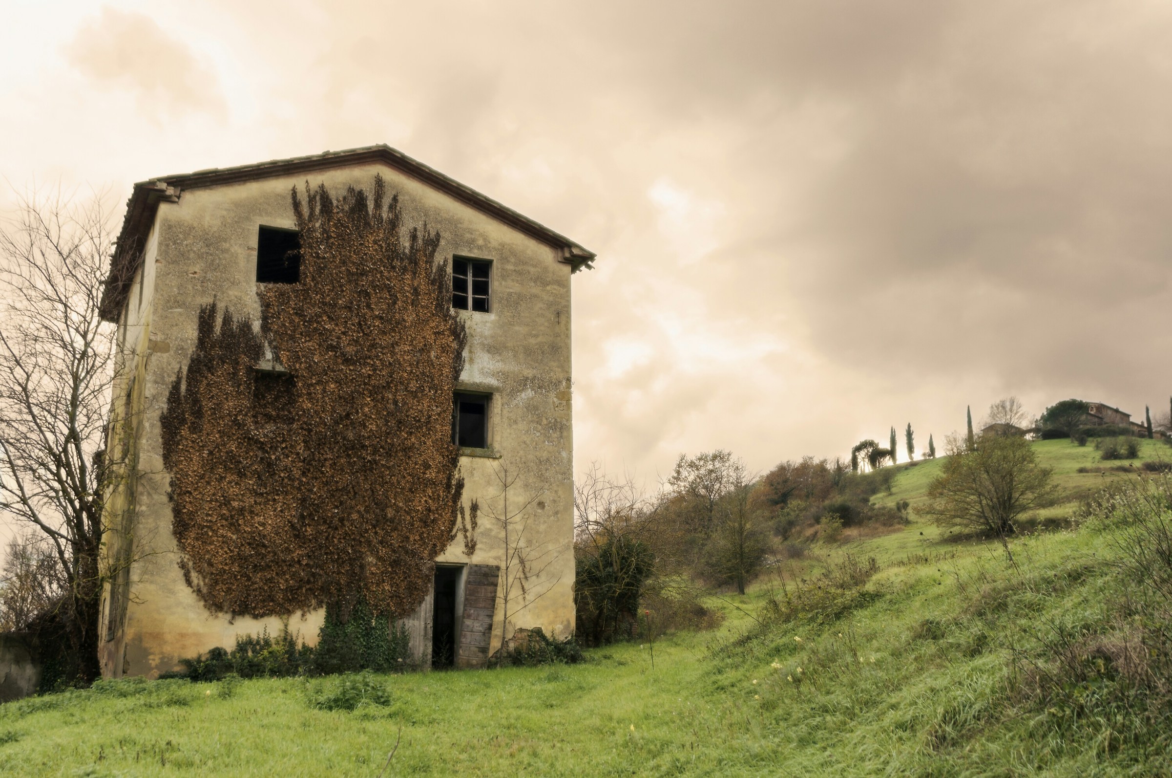 The house in the tree