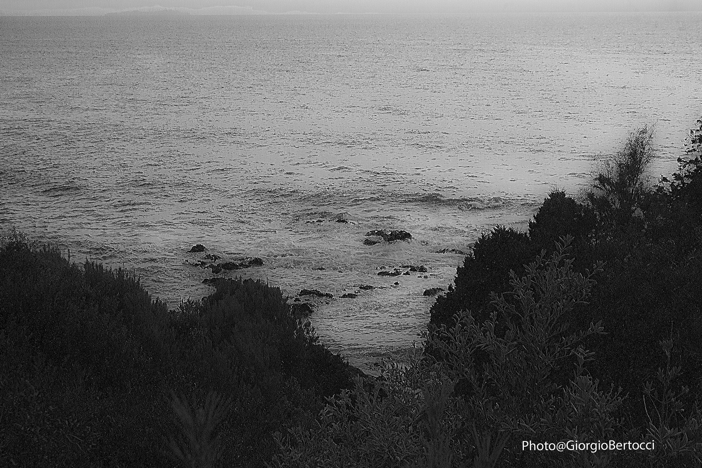 Castiglioncello Livorno