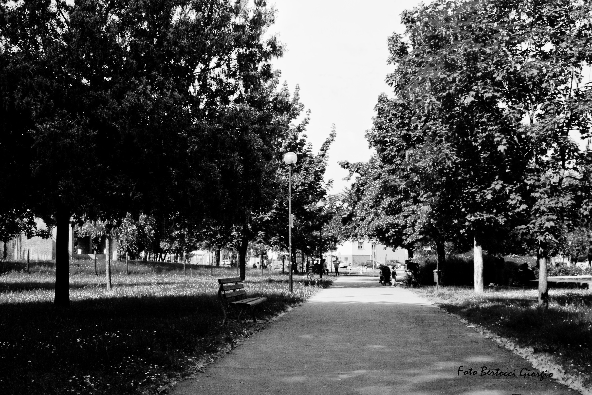 Parco Ronchi Dei Legionari ( GO )