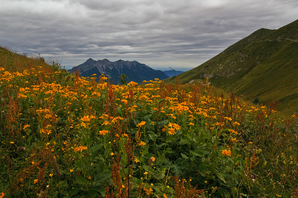 Alben seen from step Branchino.