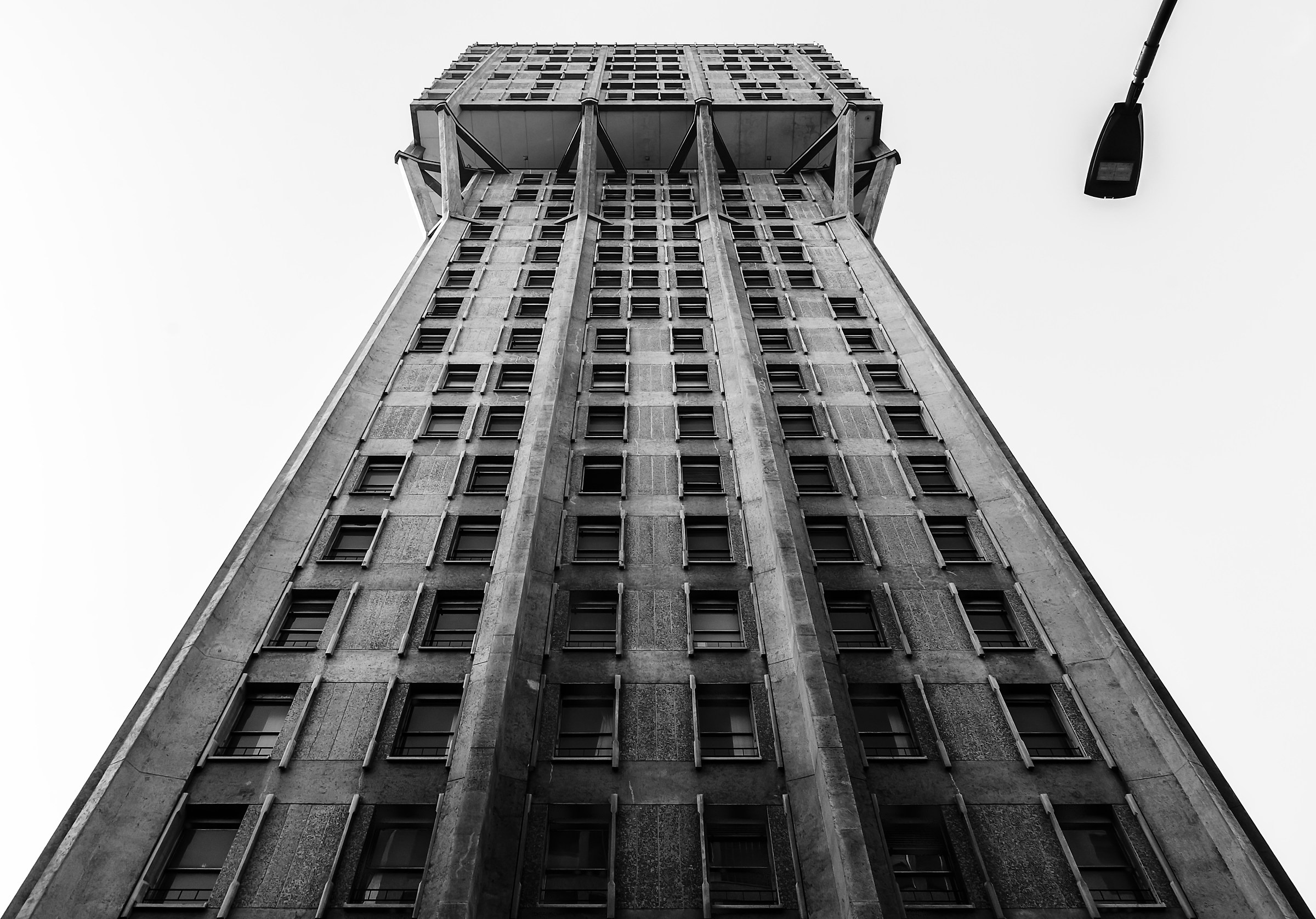 Christmas tree with light