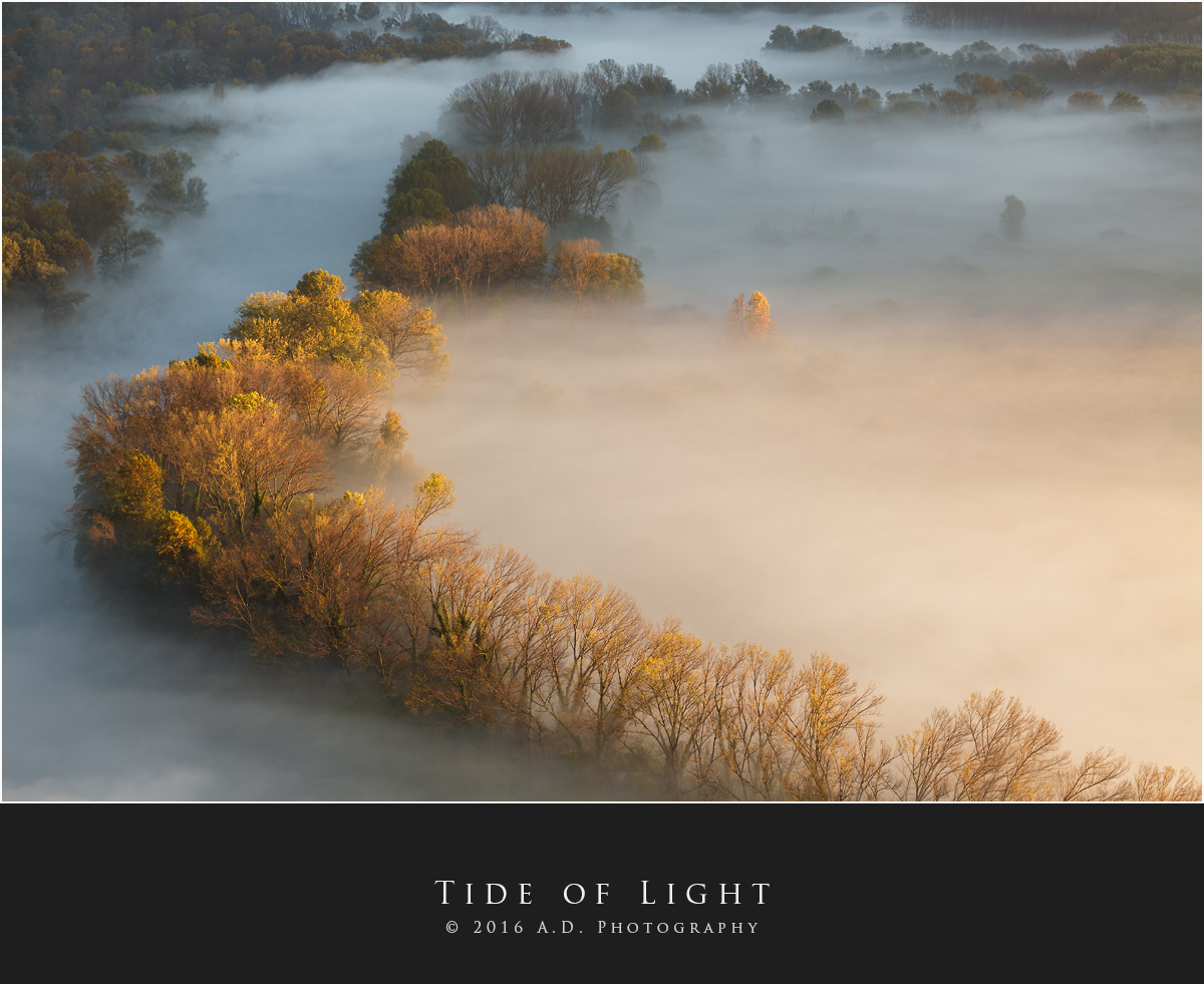 Tide of Light